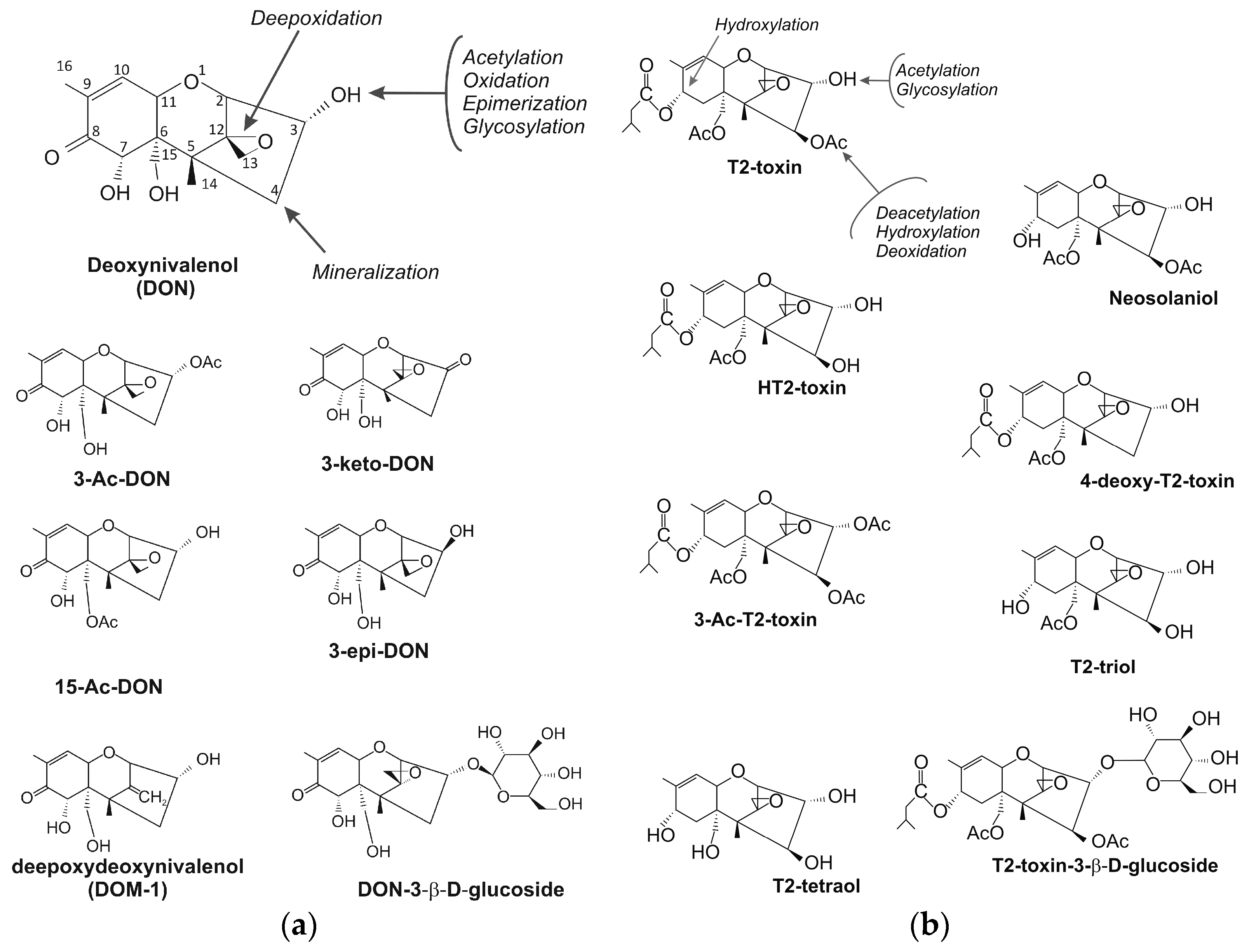Toxins 09 00408 g002