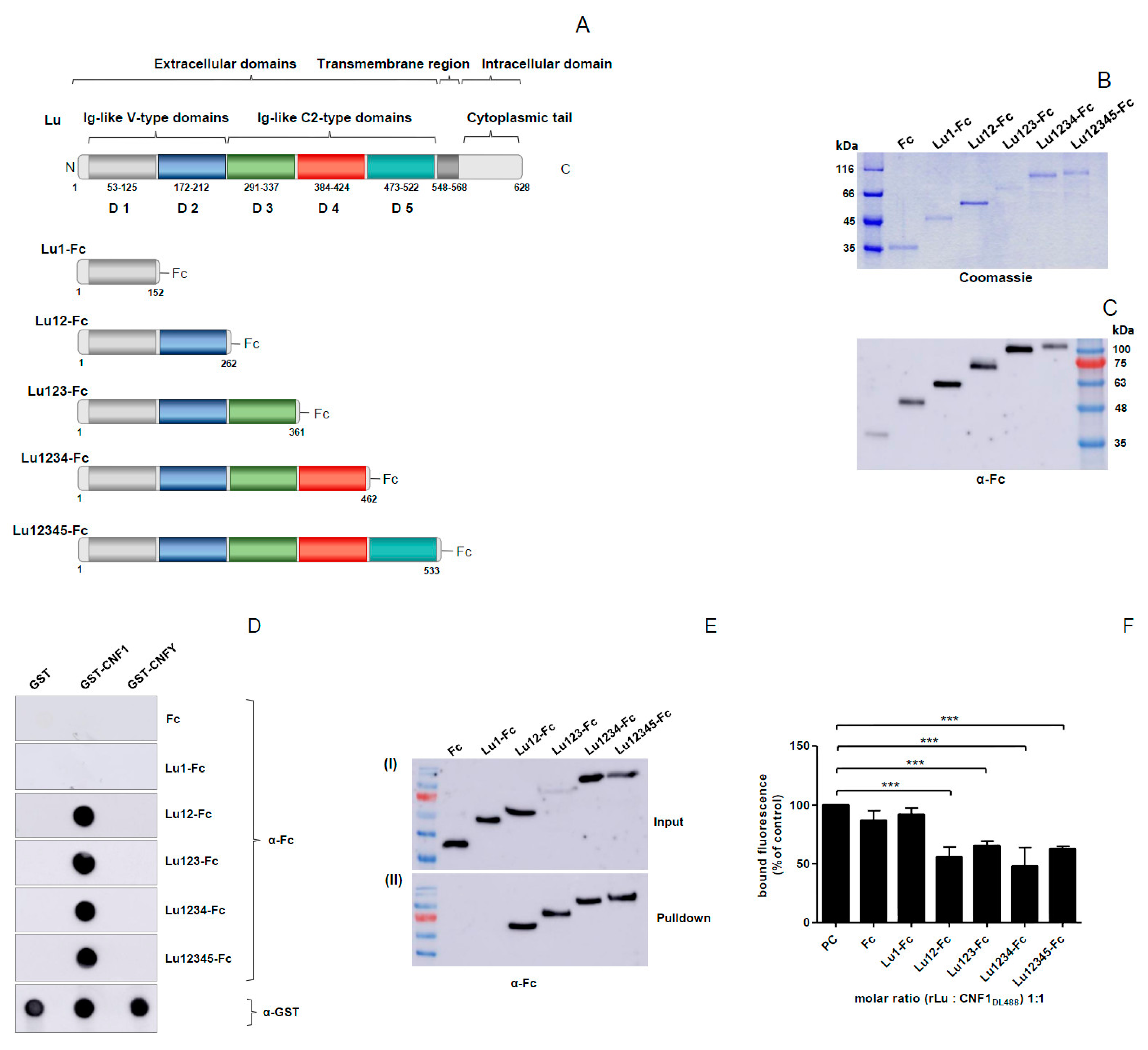 Toxins 10 00003 g003