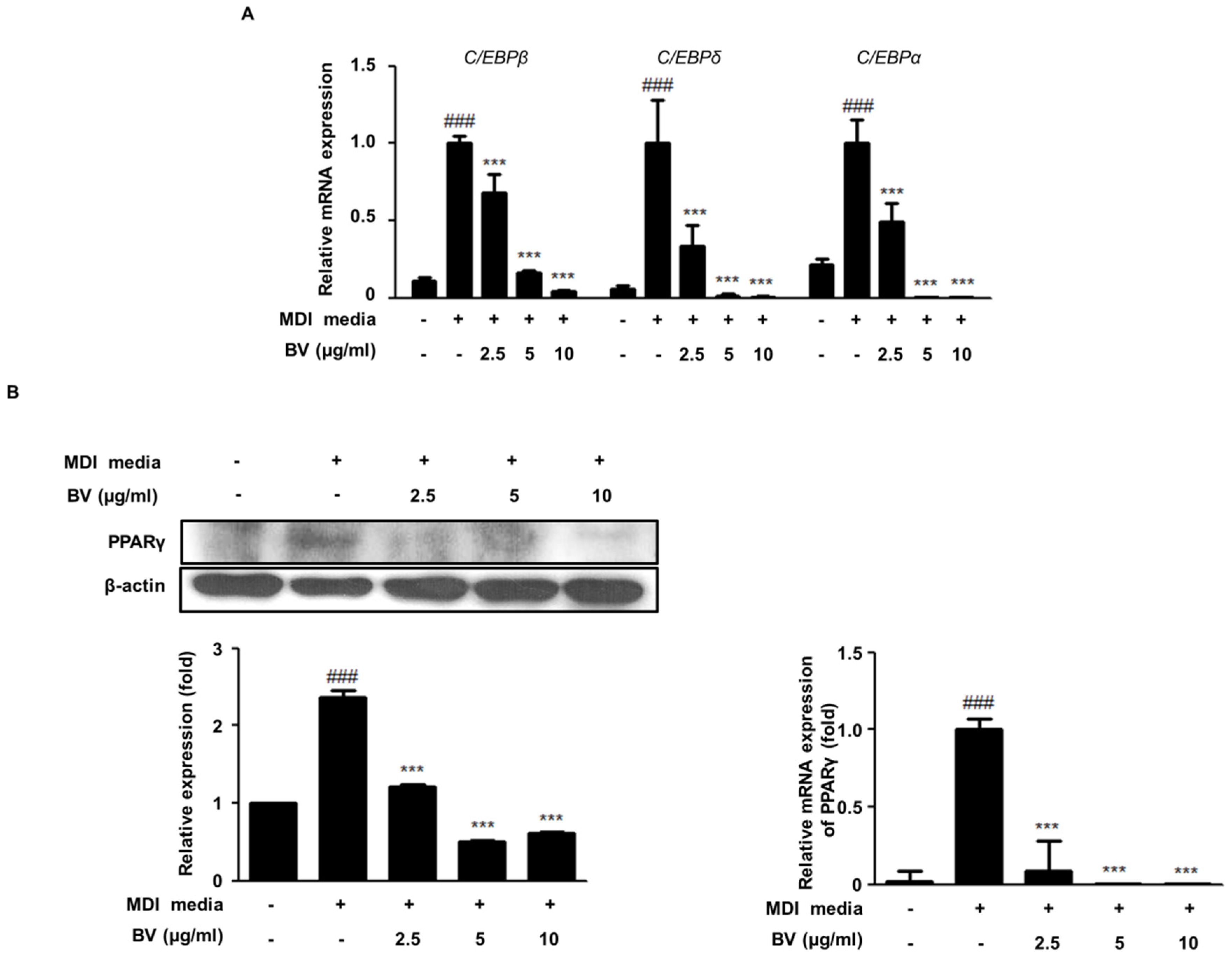 Toxins 10 00009 g002 Toxins 10 00009 g002