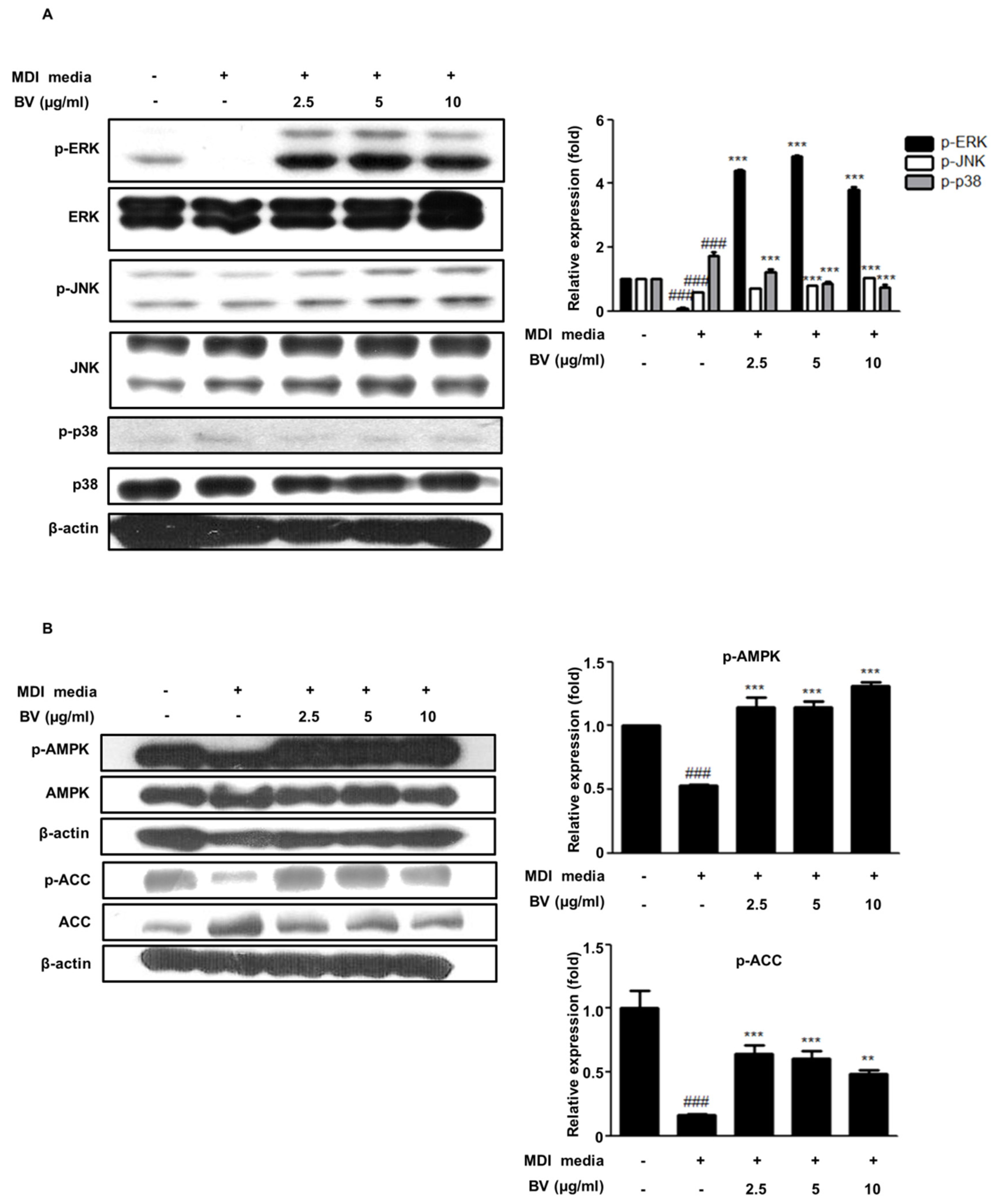 Toxins 10 00009 g003 Toxins 10 00009 g003