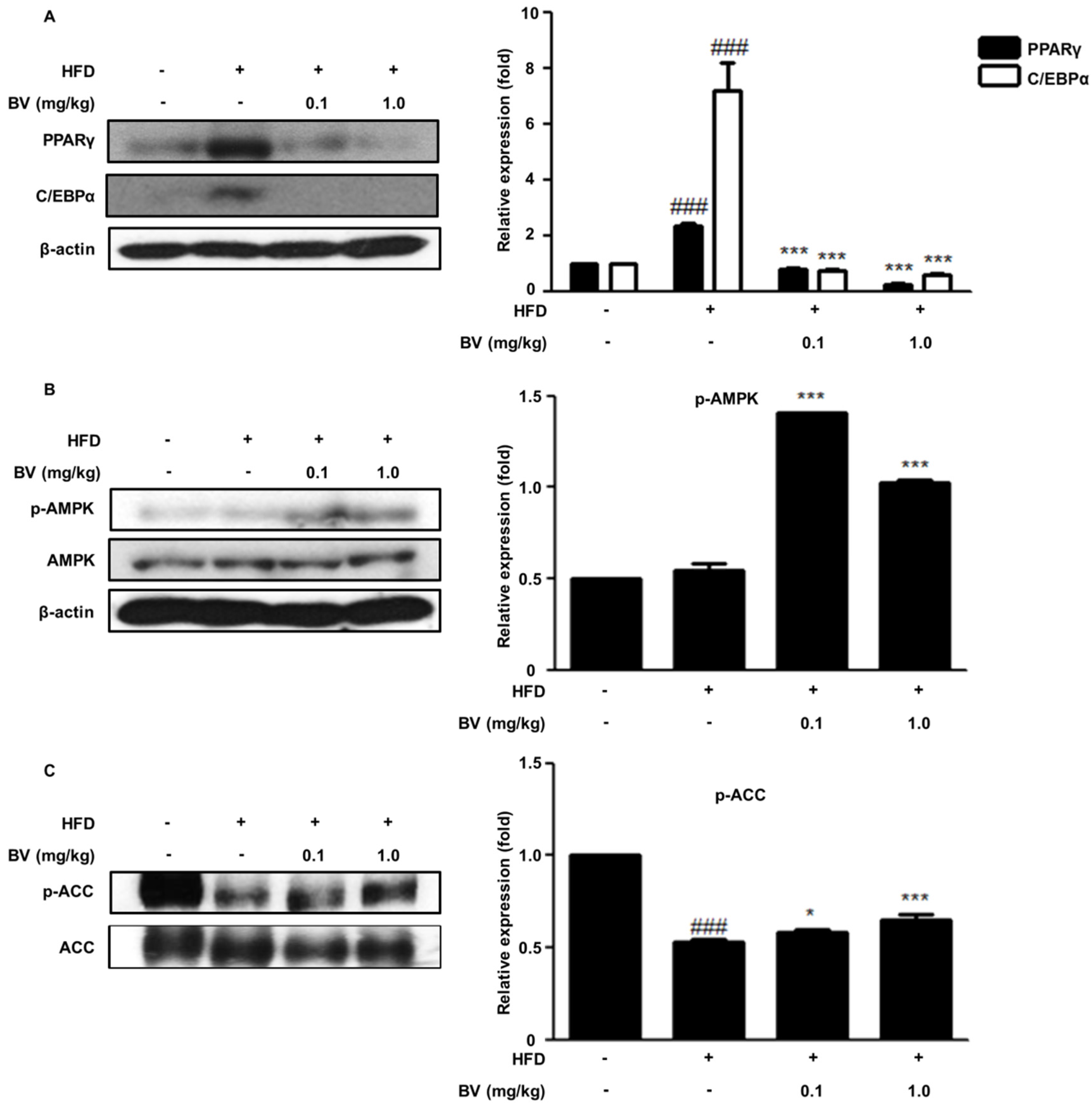 Toxins 10 00009 g005 Toxins 10 00009 g005
