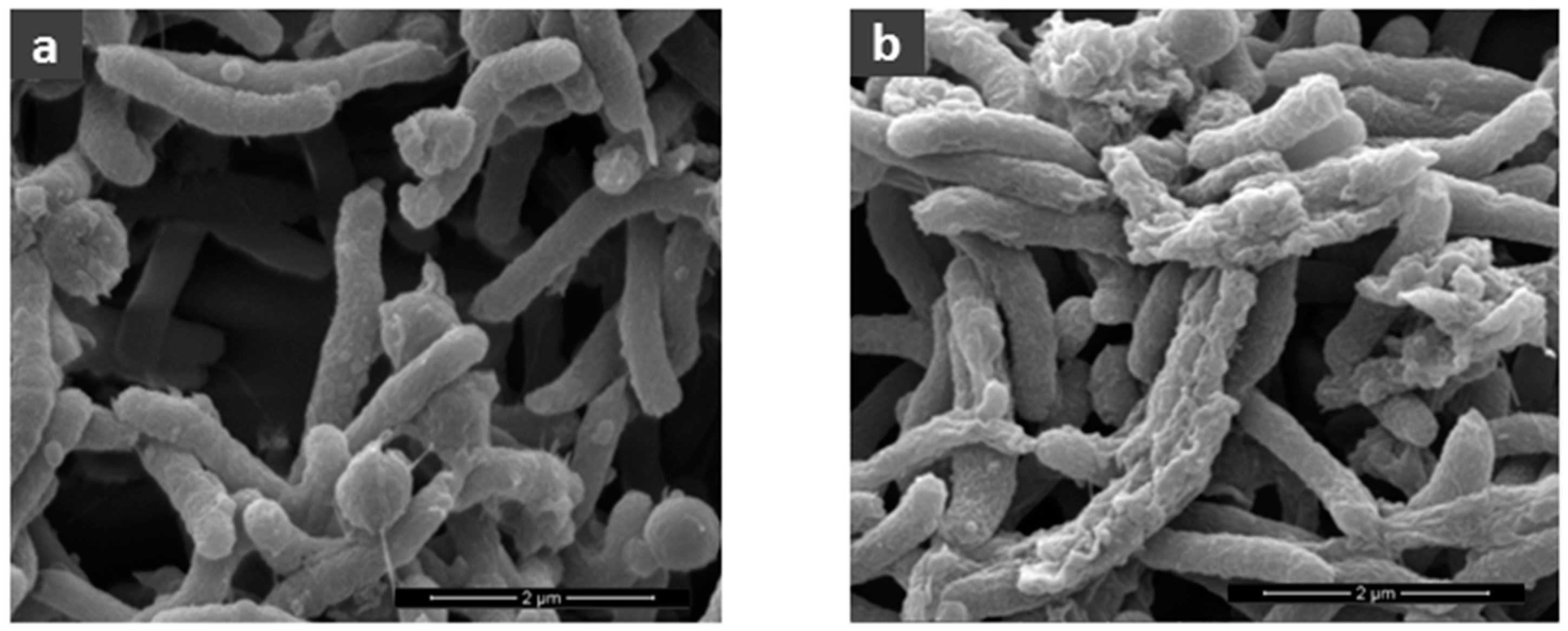 Toxins 10 00021 g002 Toxins 10 00021 g002