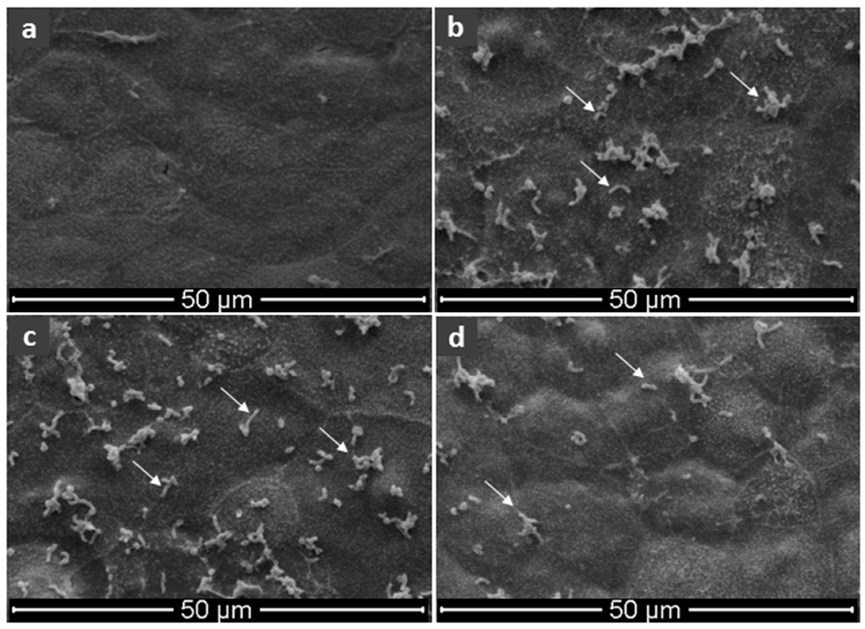 Toxins 10 00021 g004 Toxins 10 00021 g004