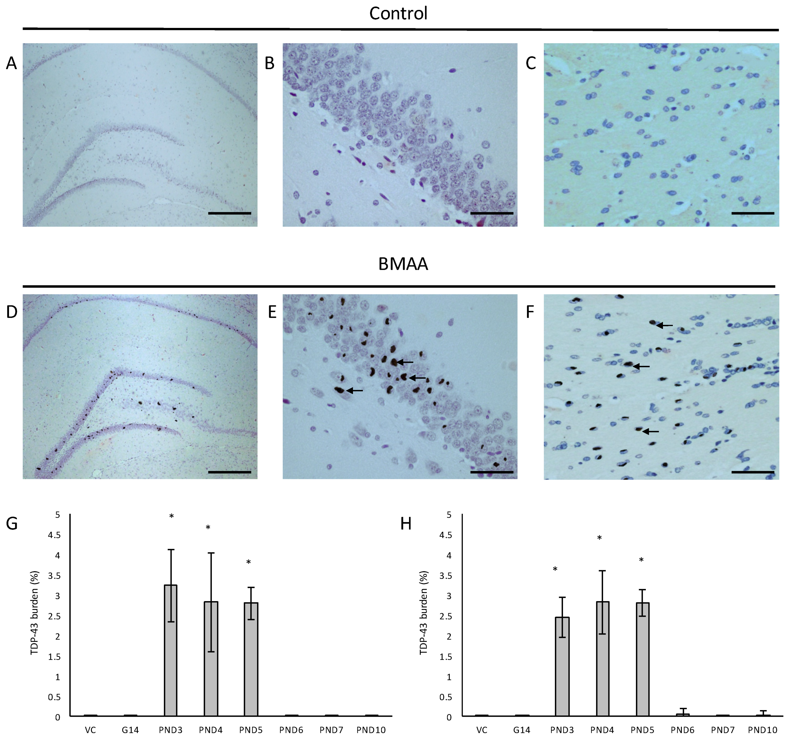 Toxins 10 00022 g008 Toxins 10 00022 g008