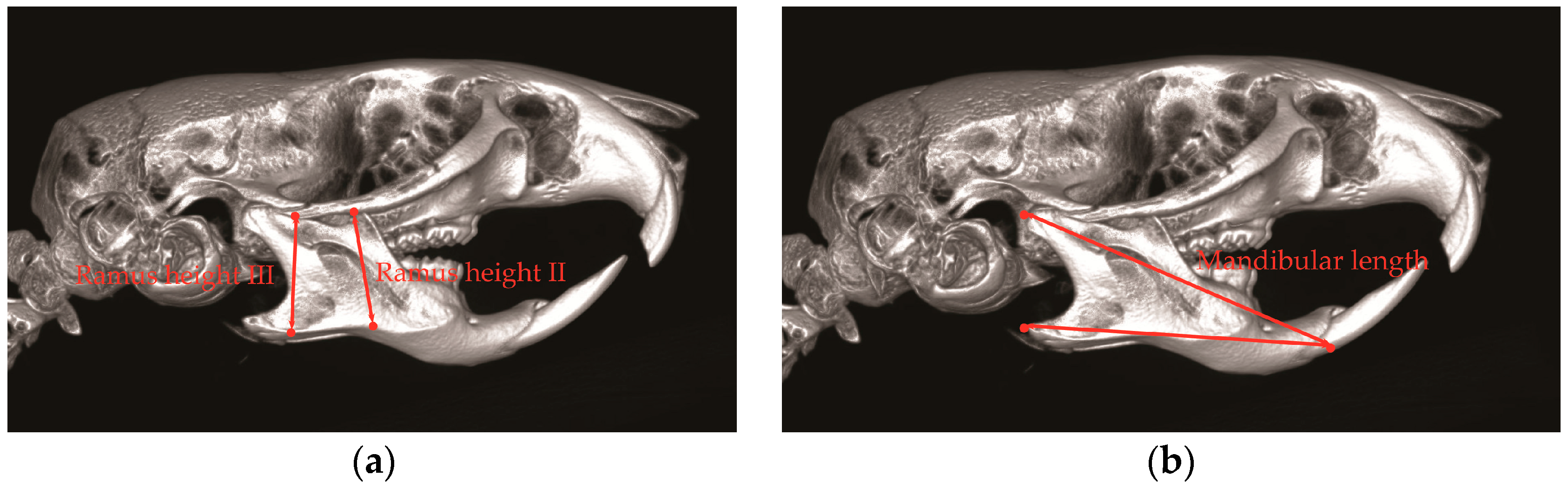 Toxins 10 00027 g001 Toxins 10 00027 g001