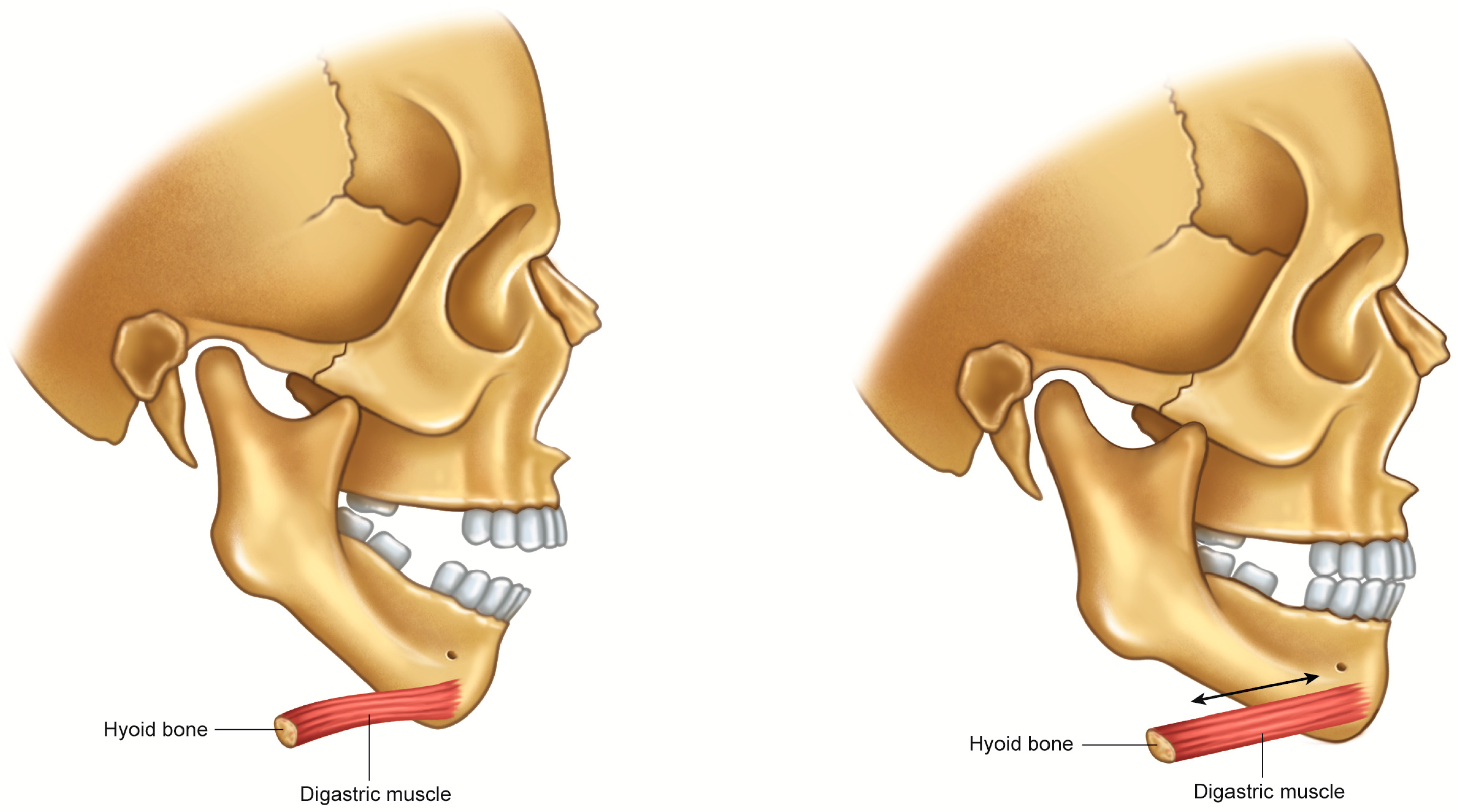 Toxins 10 00027 g003 Toxins 10 00027 g003