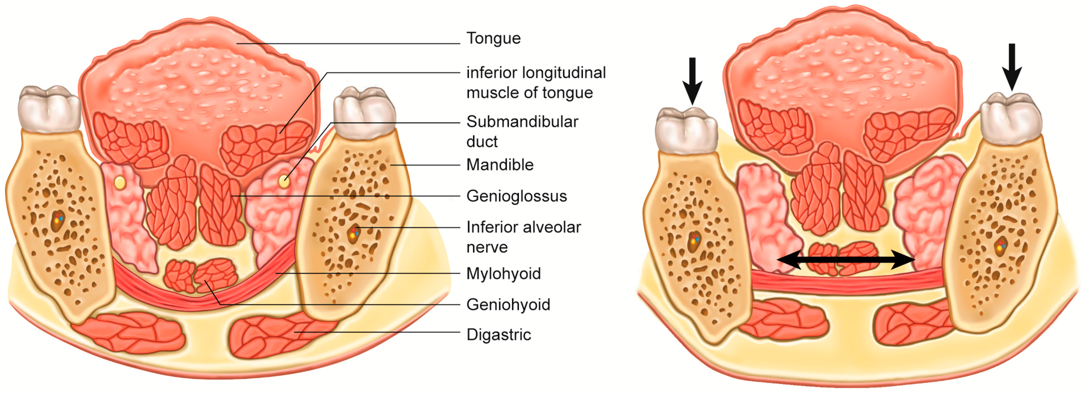 Toxins 10 00027 g004 Toxins 10 00027 g004