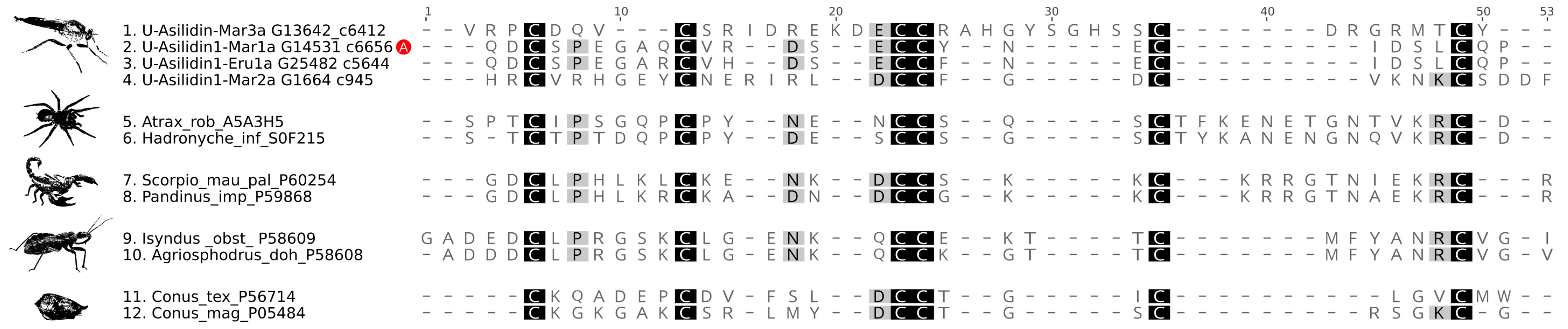 Toxins 10 00029 g005