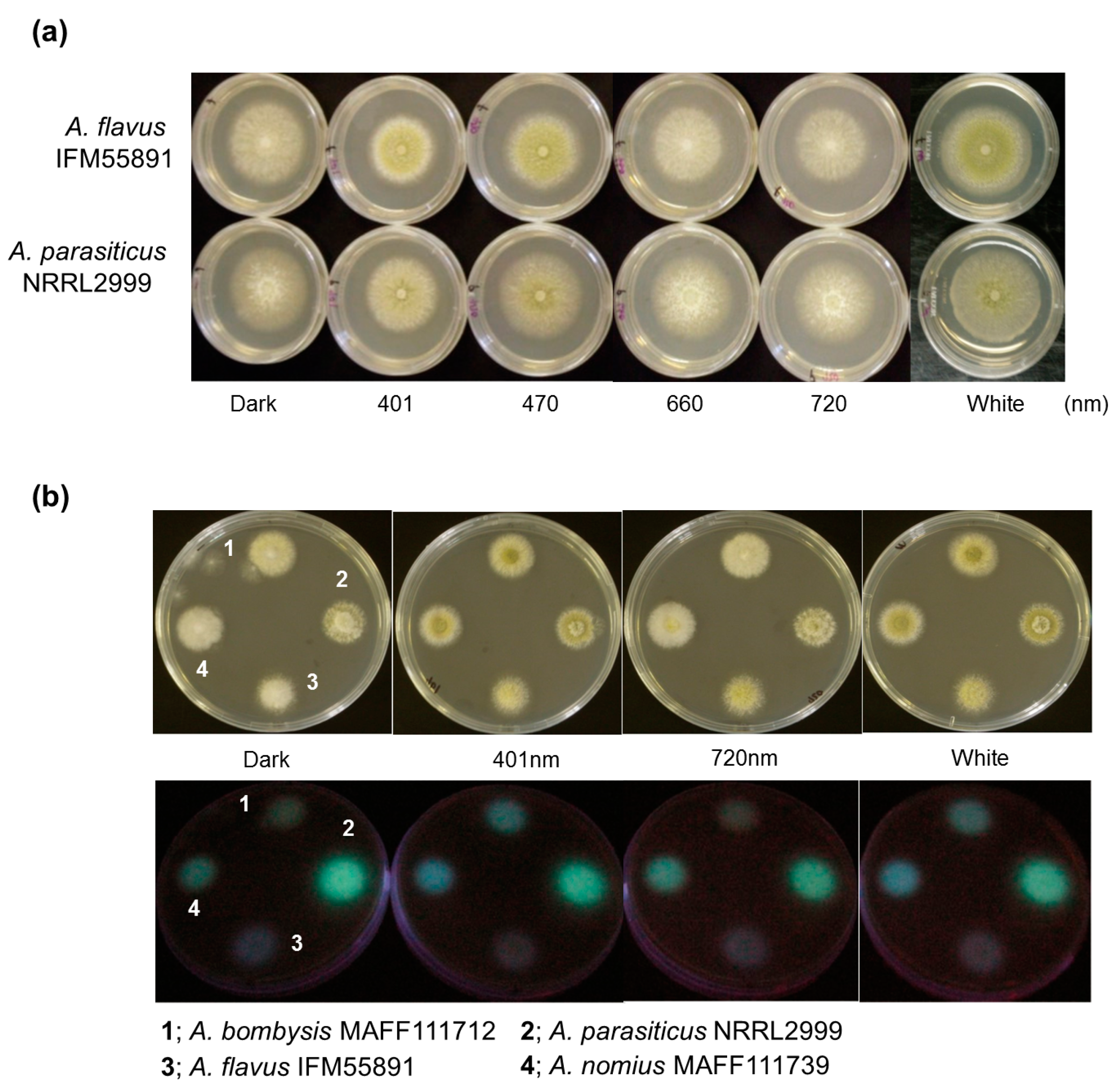 Toxins 10 00031 g001 Toxins 10 00031 g001