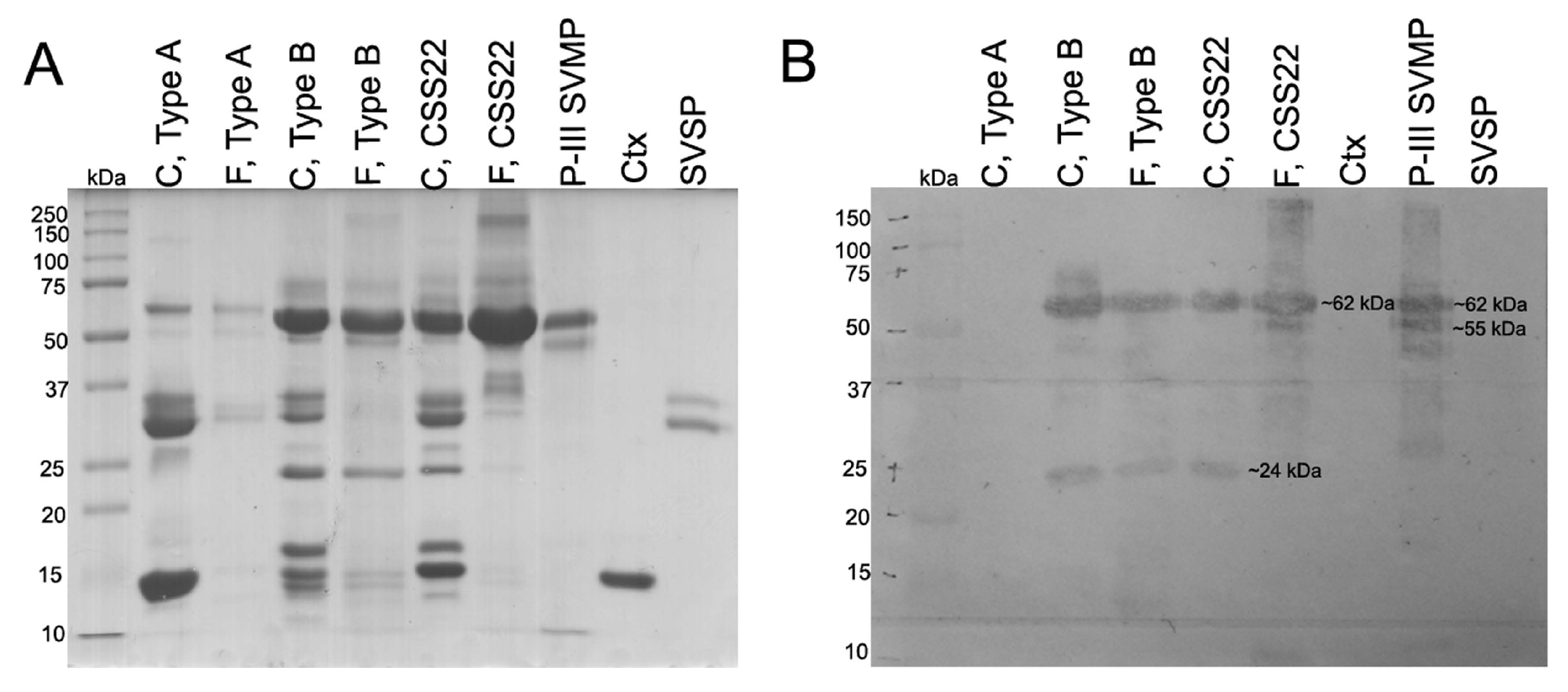 Toxins 10 00035 g004 Toxins 10 00035 g004
