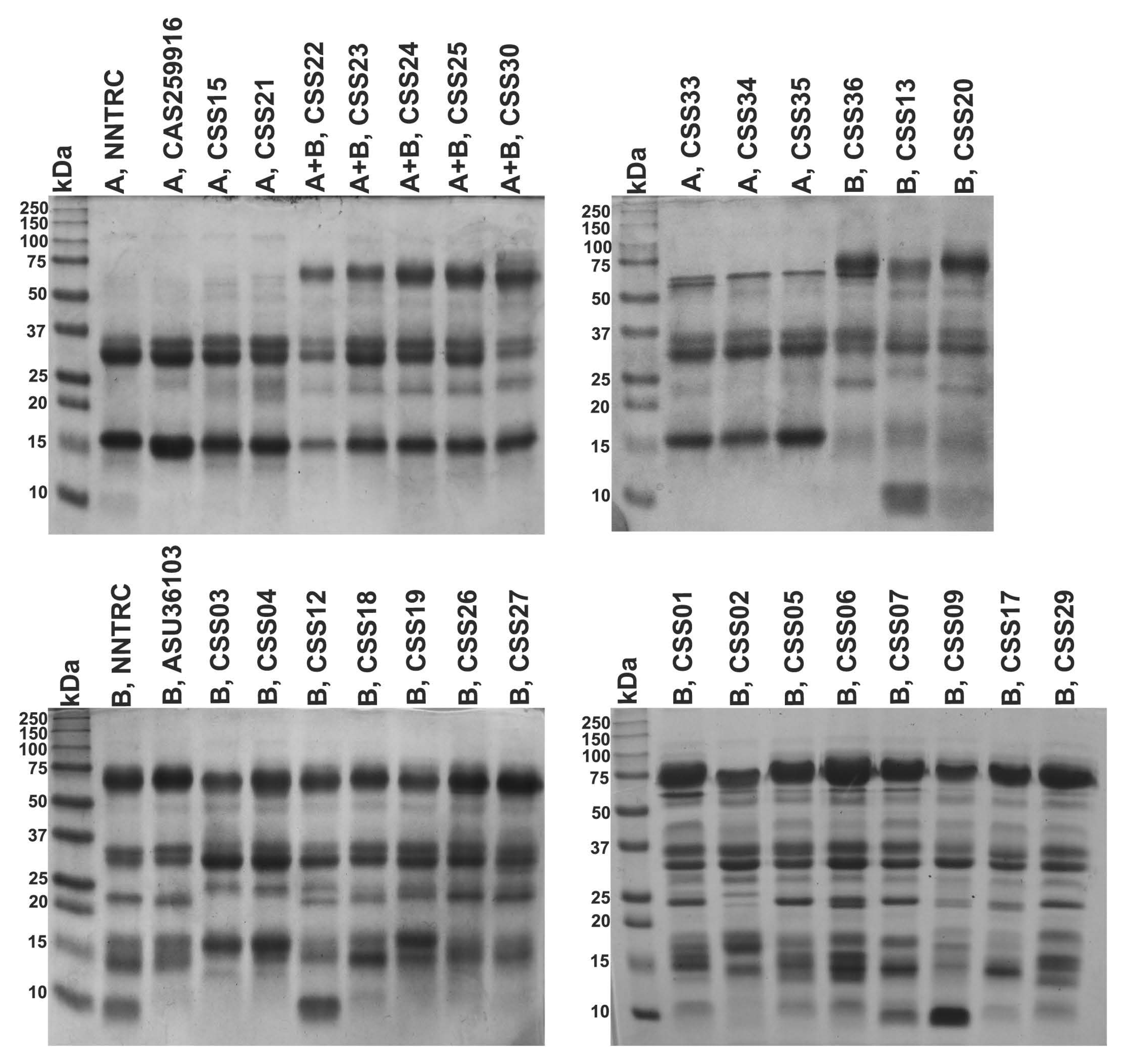 Toxins 10 00035 g005 Toxins 10 00035 g005
