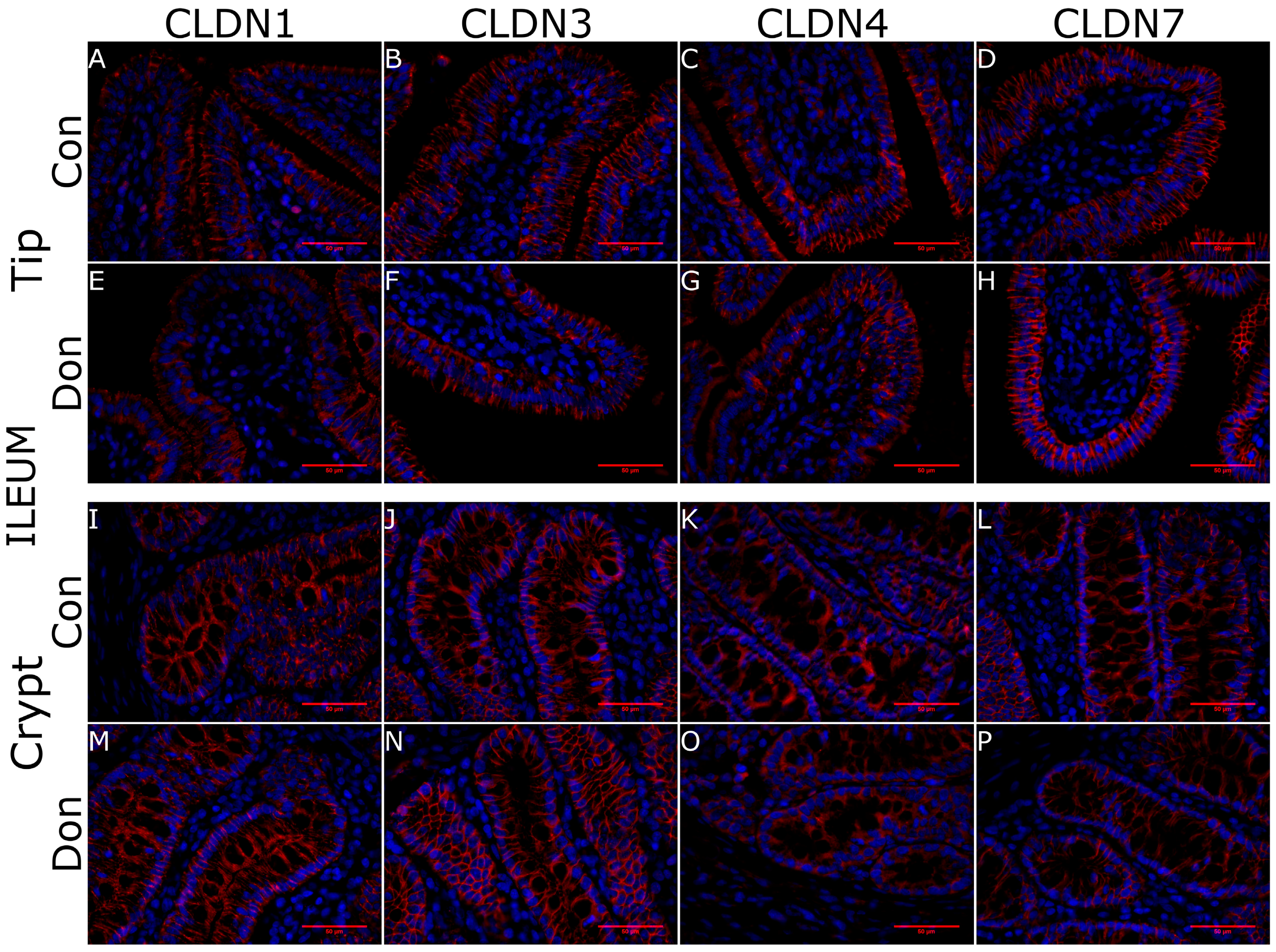 Toxins 10 00040 g004 Toxins 10 00040 g004