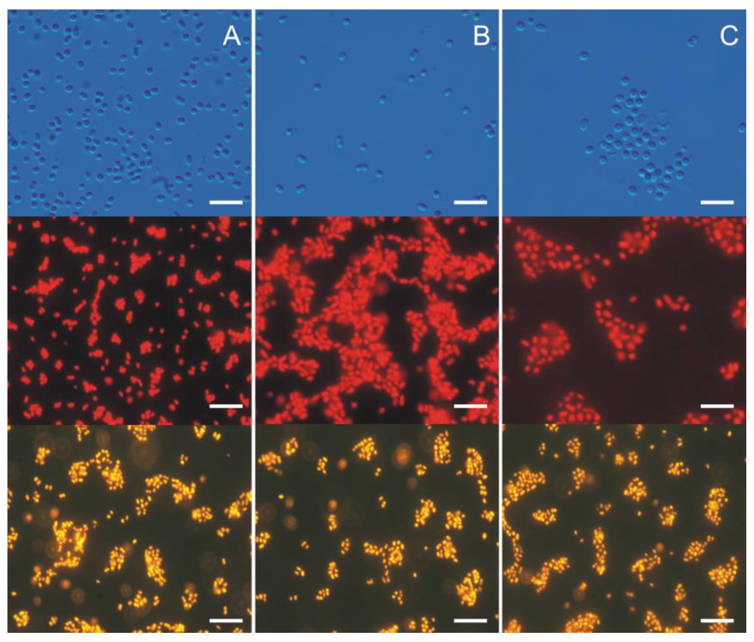 Toxins 10 00048 g002
