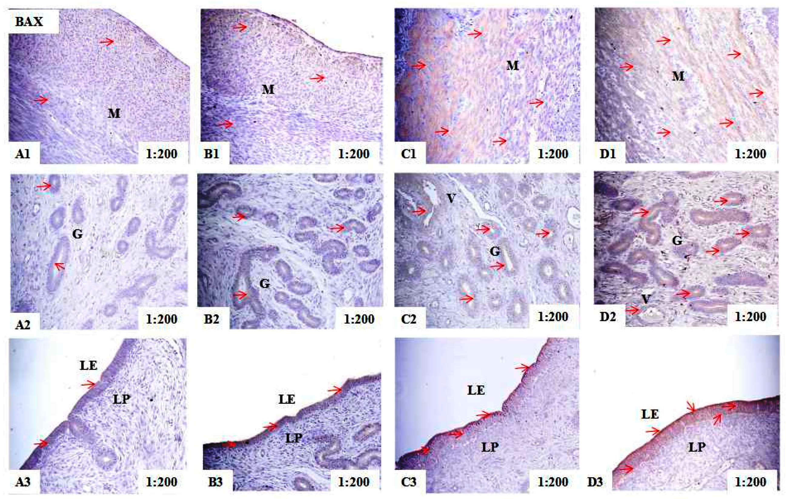 Toxins 10 00049 g002