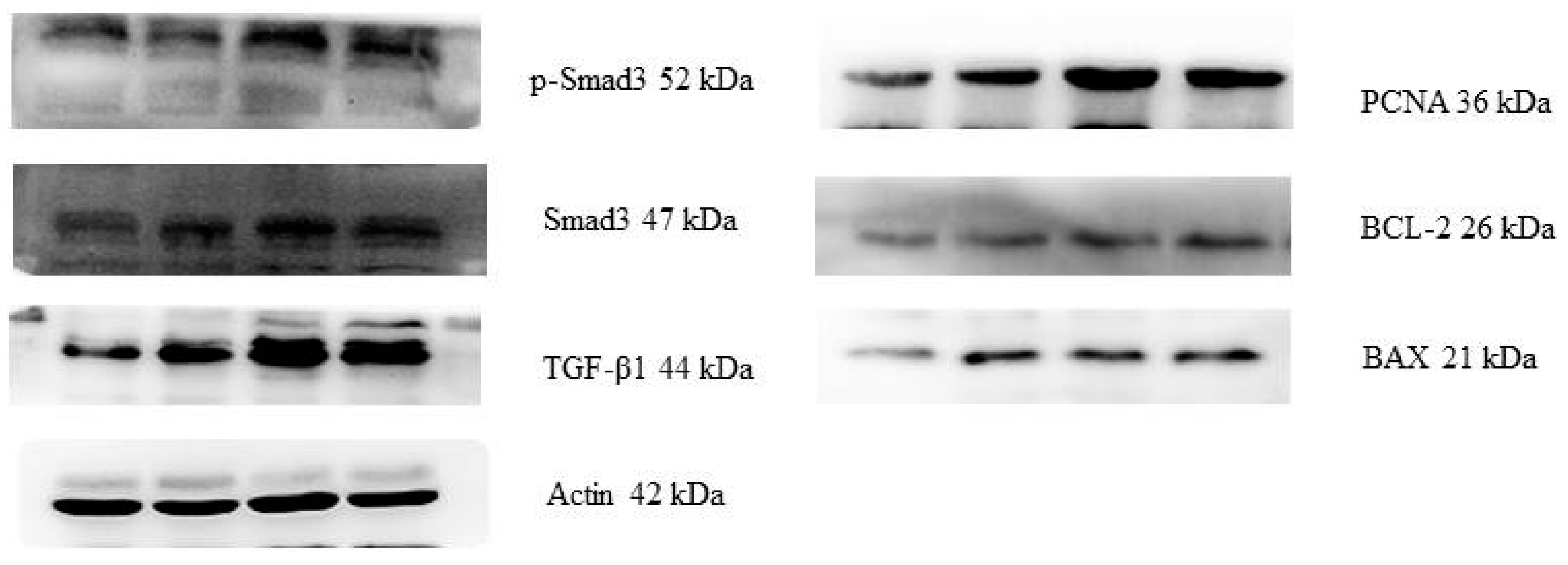 Toxins 10 00049 g004