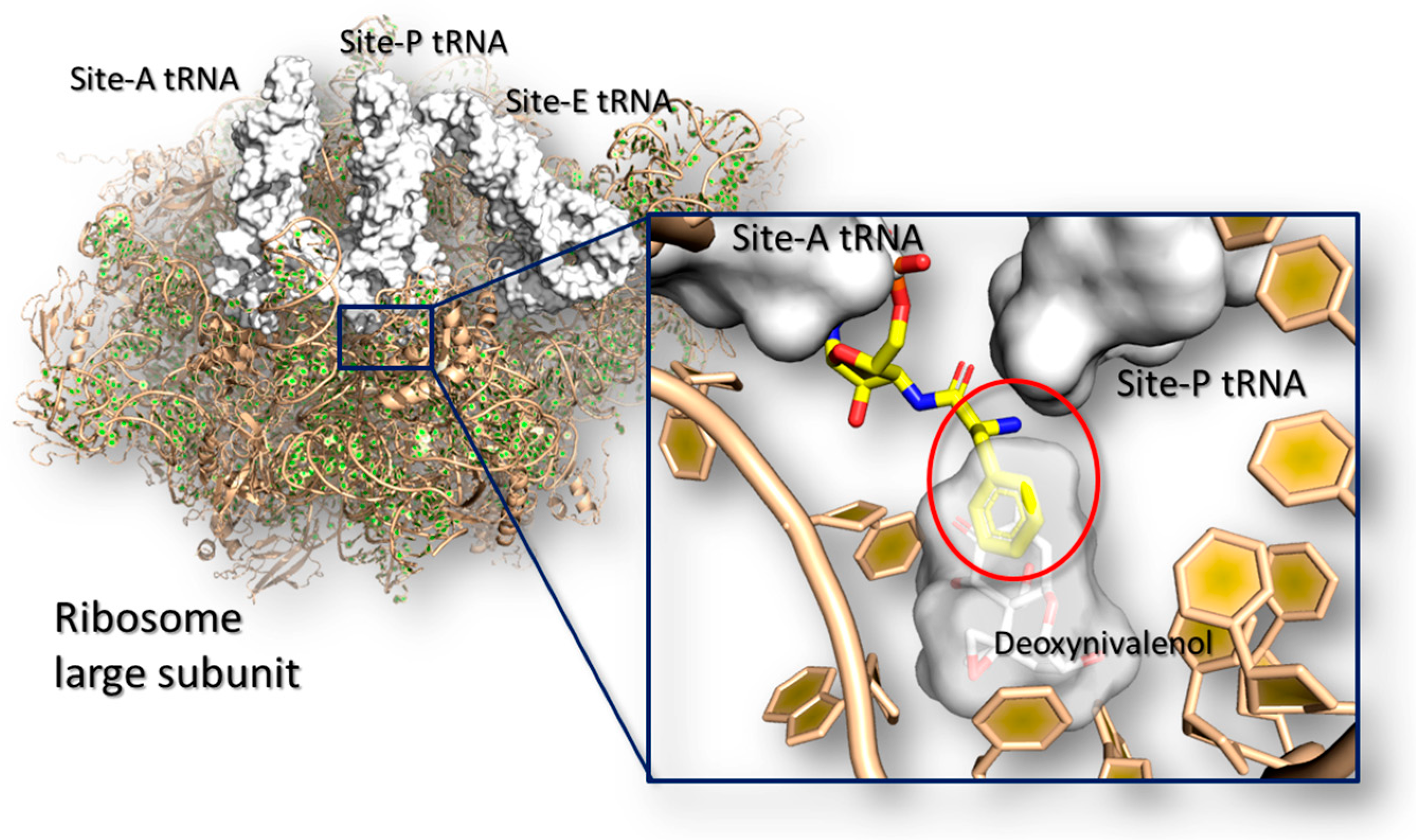 Toxins 10 00052 g003