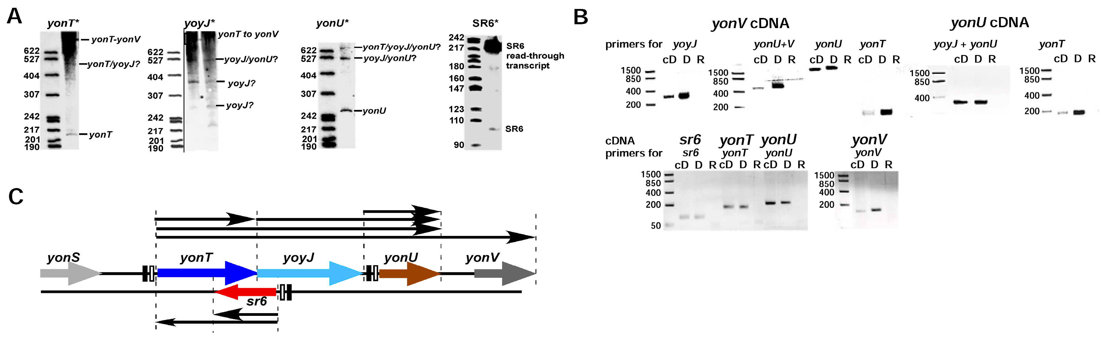 Toxins 10 00074 g001