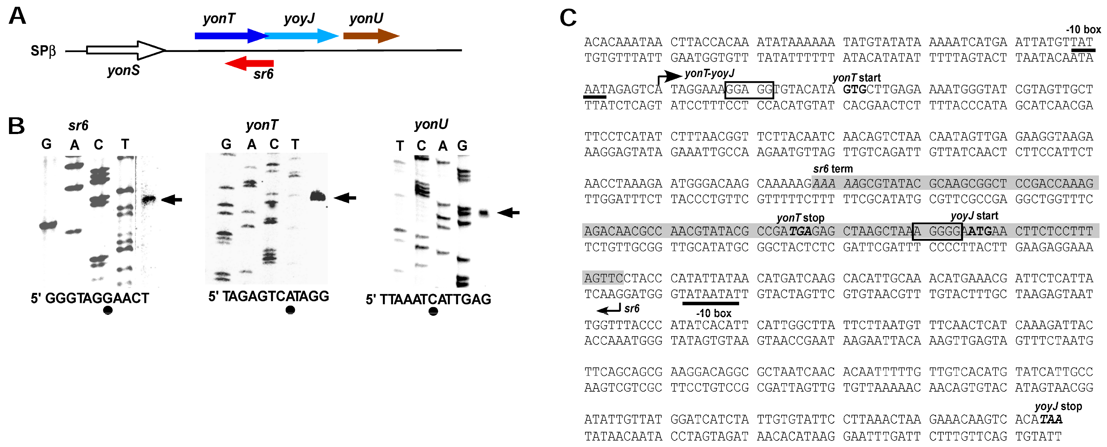 Toxins 10 00074 g002