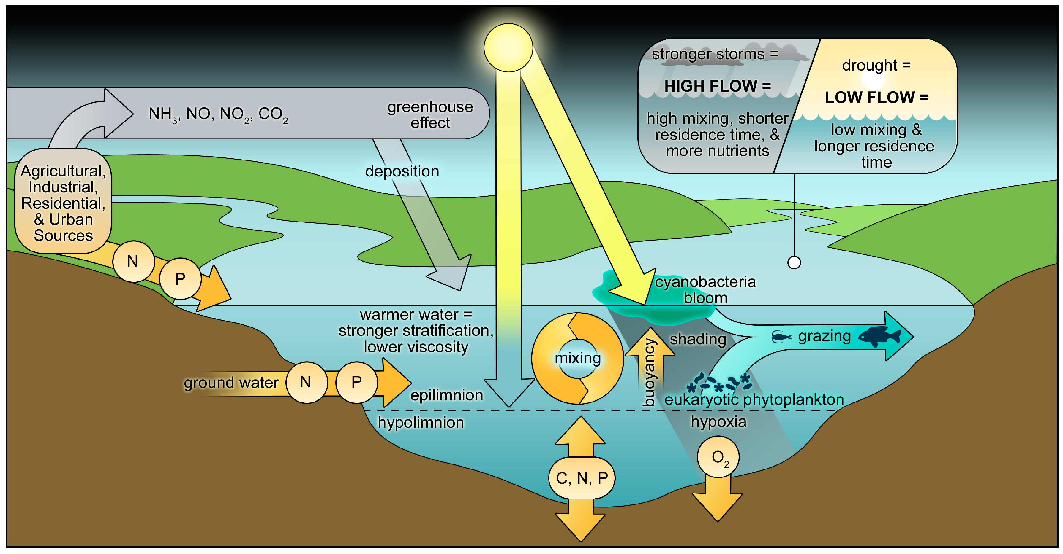 Toxins 10 00076 g003