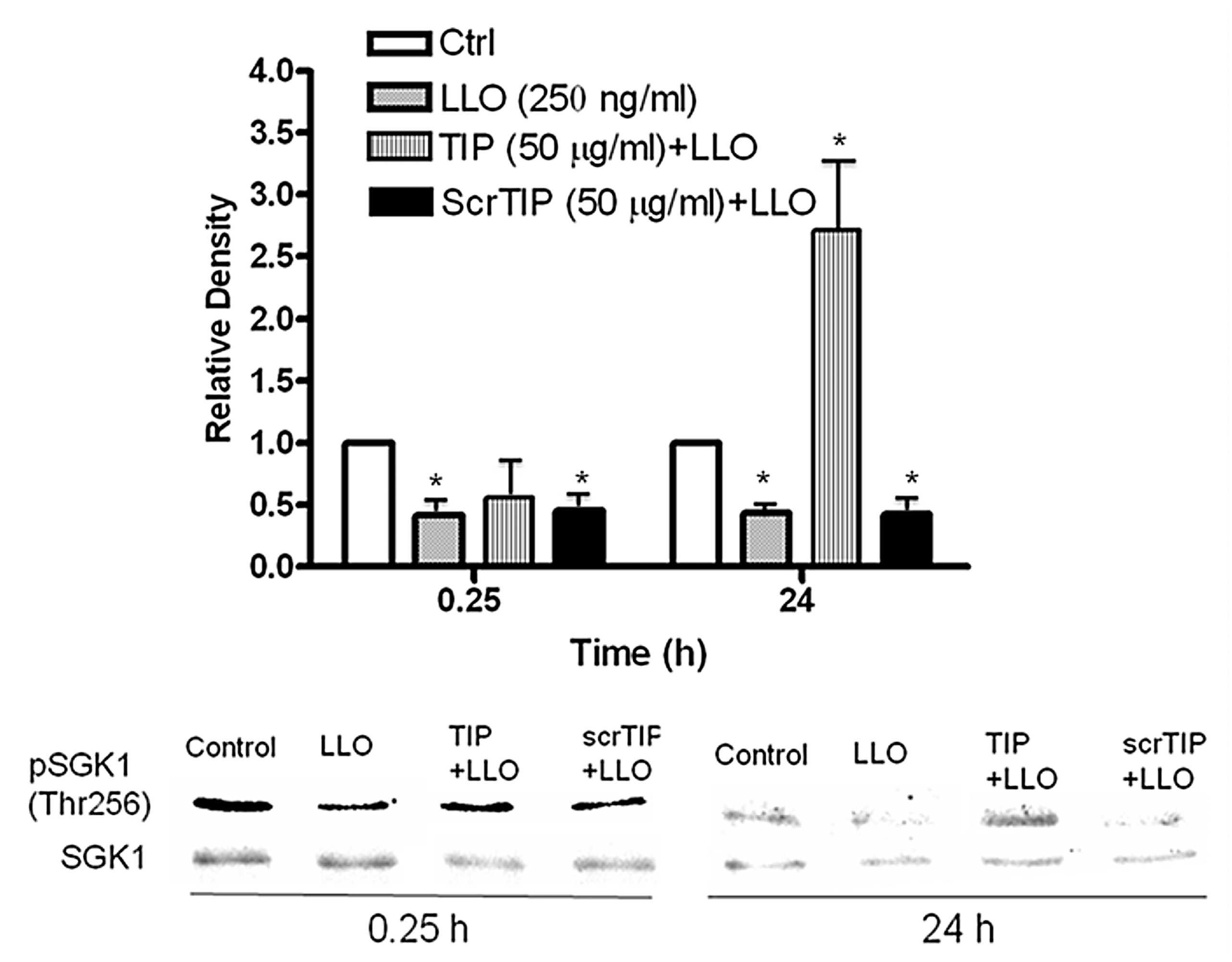 Toxins 10 00079 g005