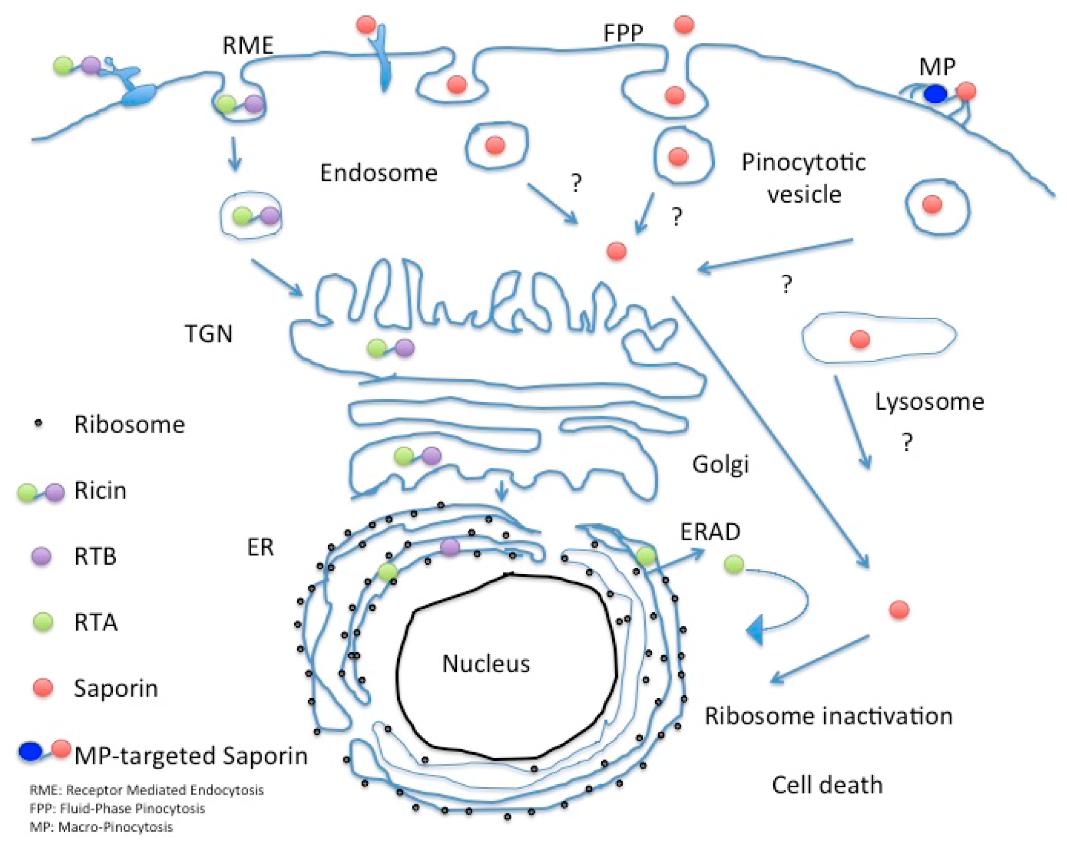 Toxins 10 00082 g011