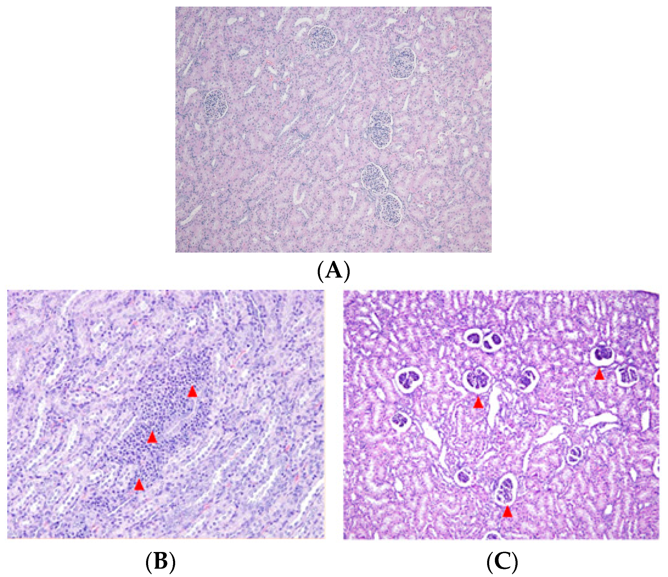 Toxins 10 00114 g001