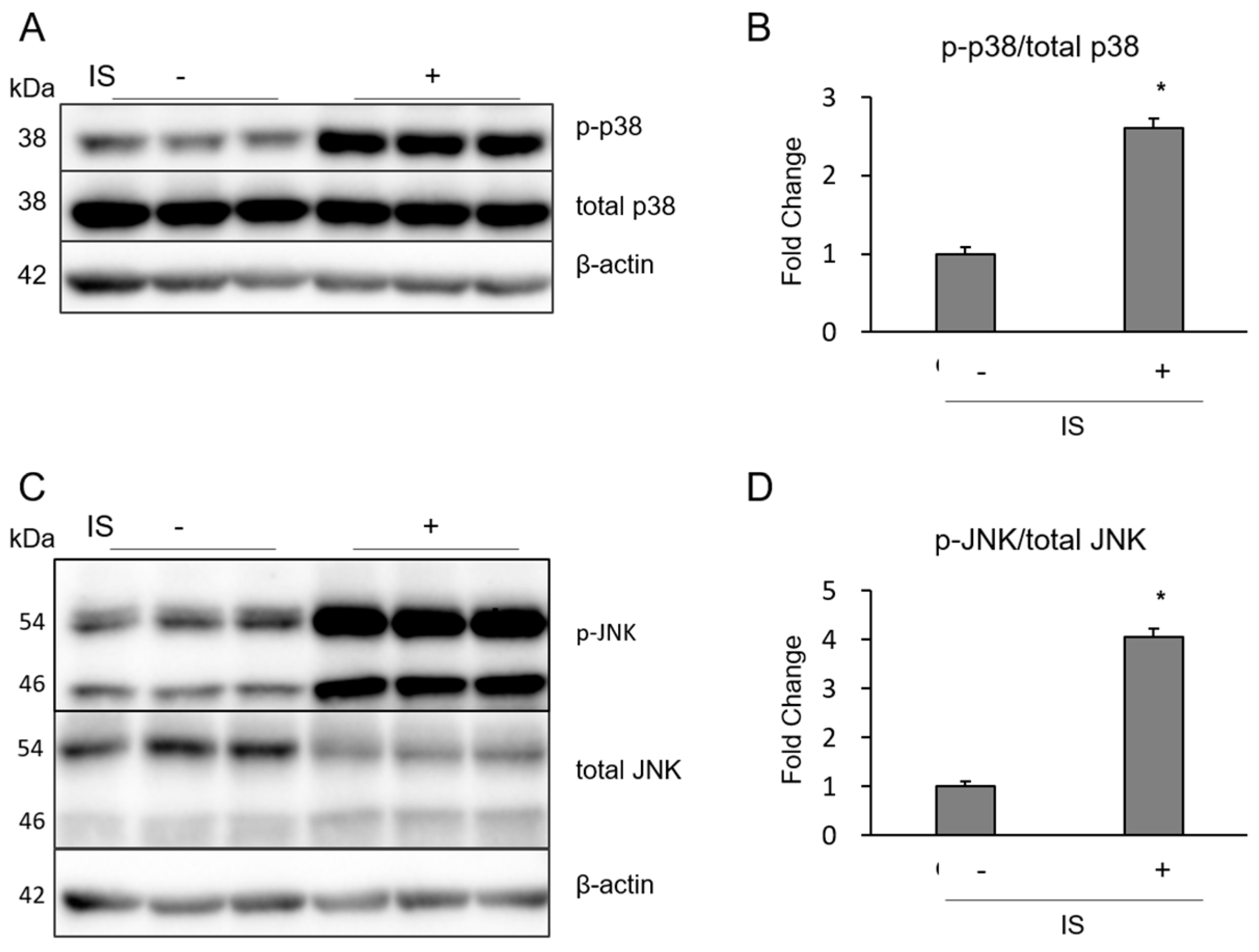 Toxins 10 00124 g004a