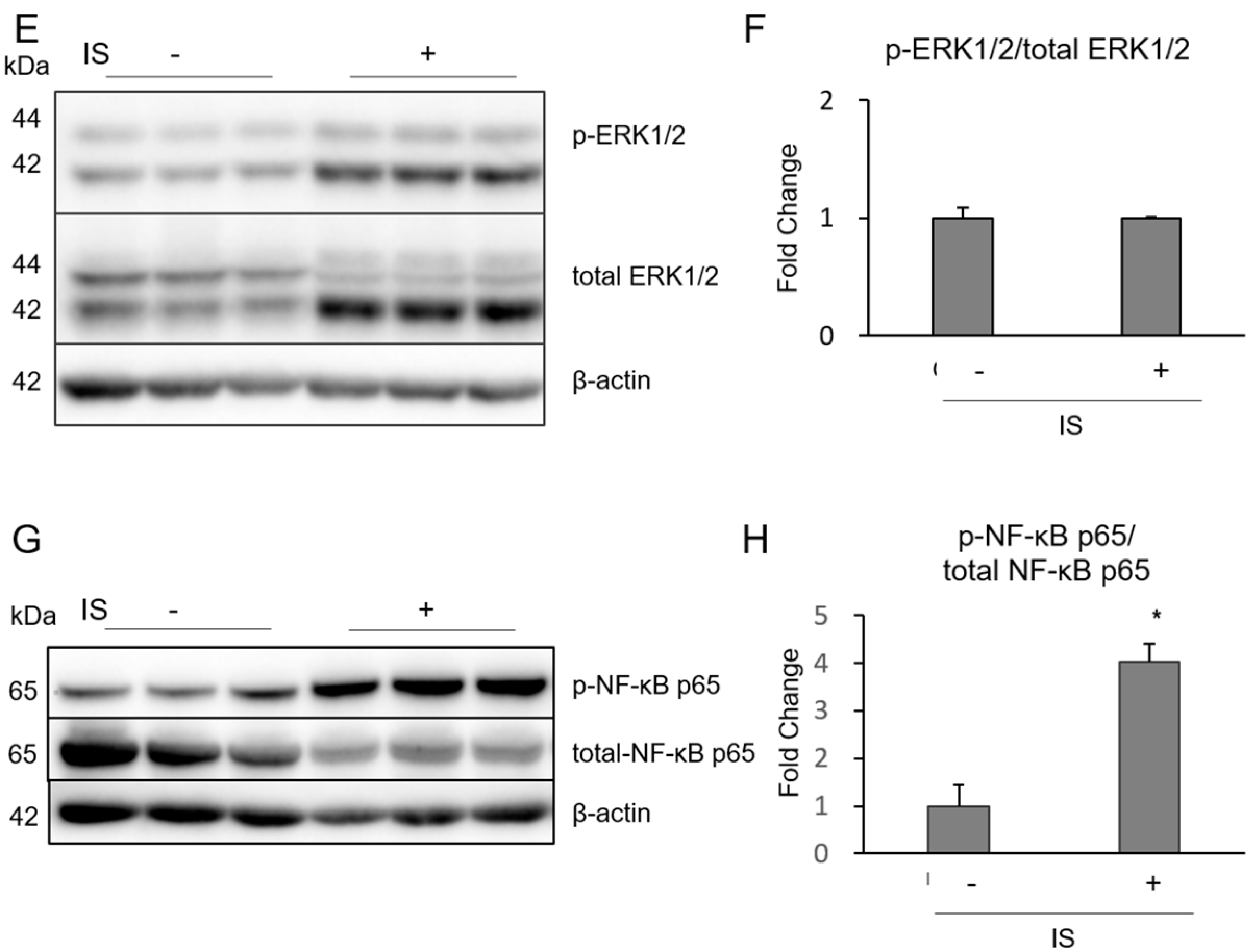 Toxins 10 00124 g004b