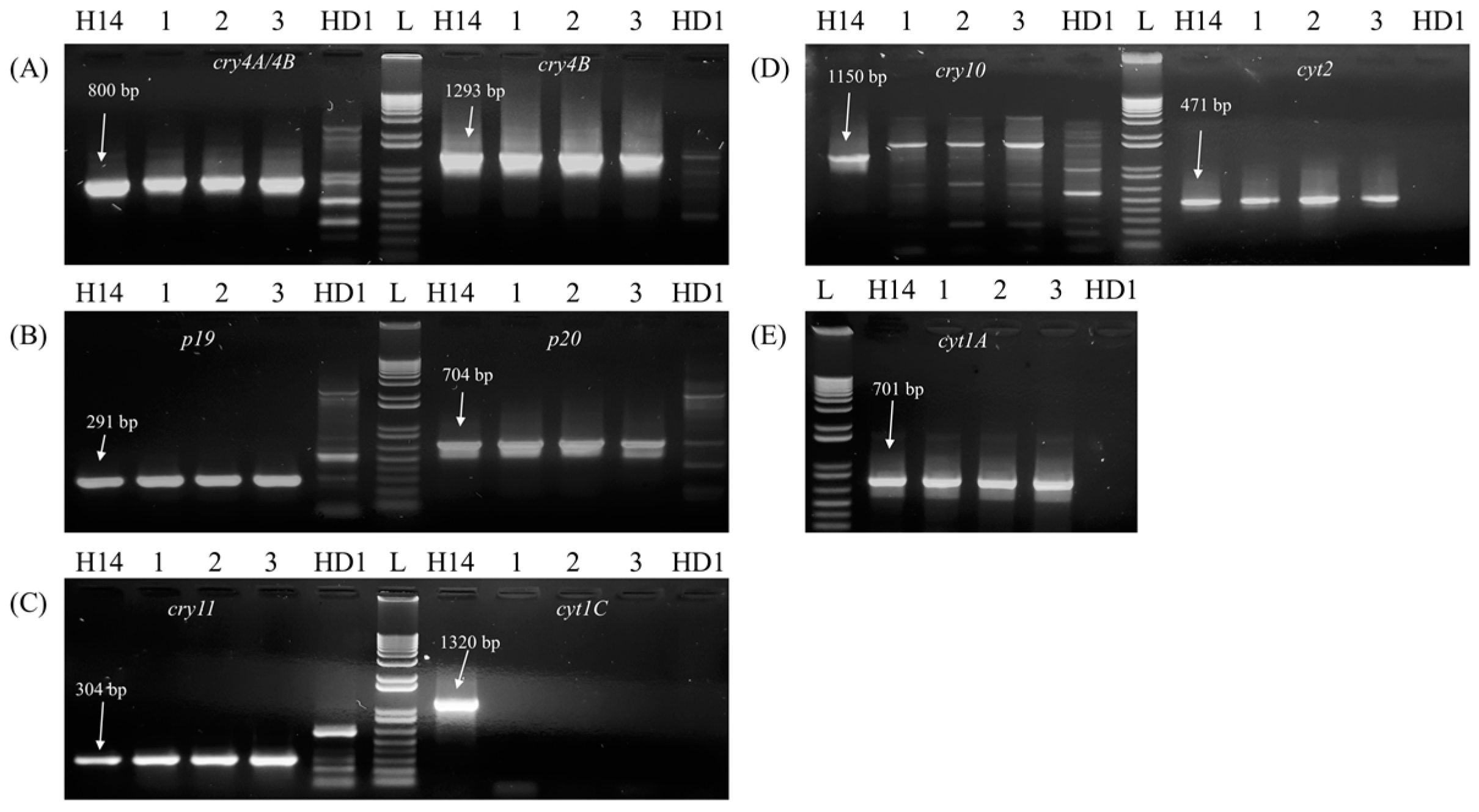Toxins 10 00125 g002 Toxins 10 00125 g002