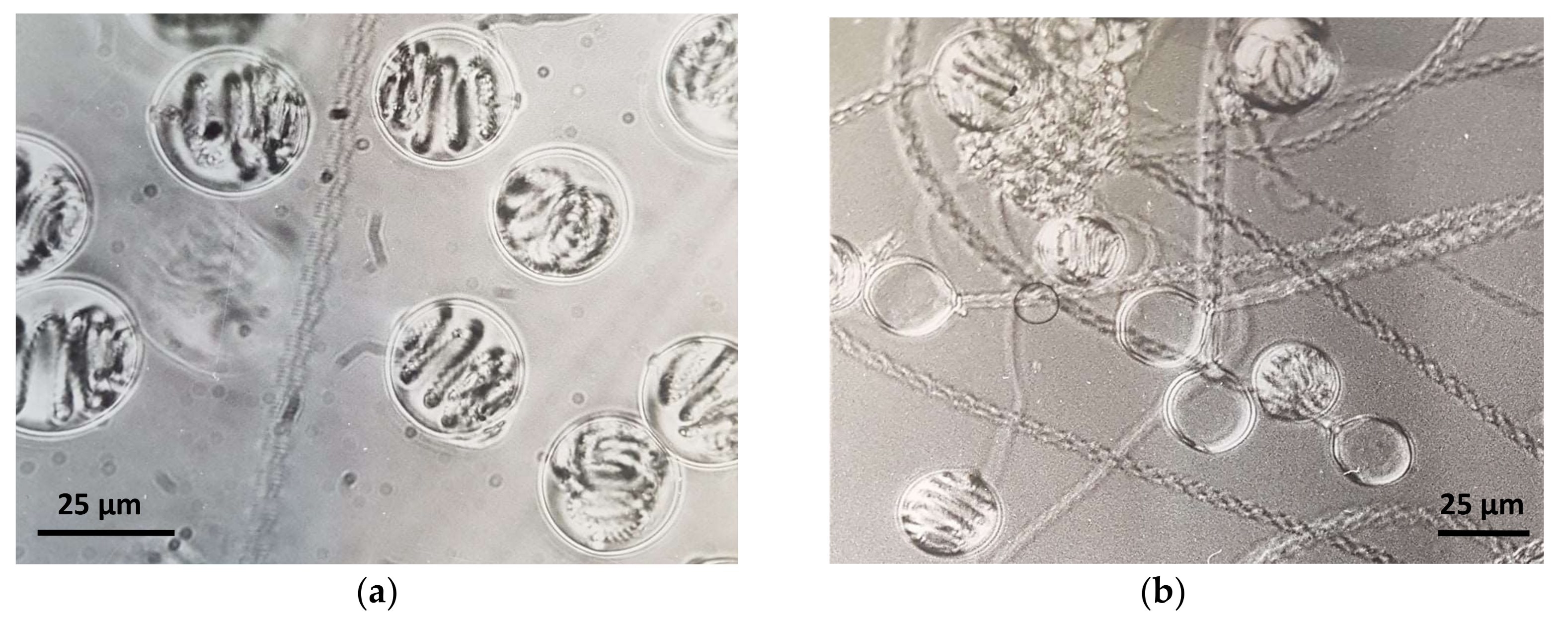 Toxins 10 00133 g001