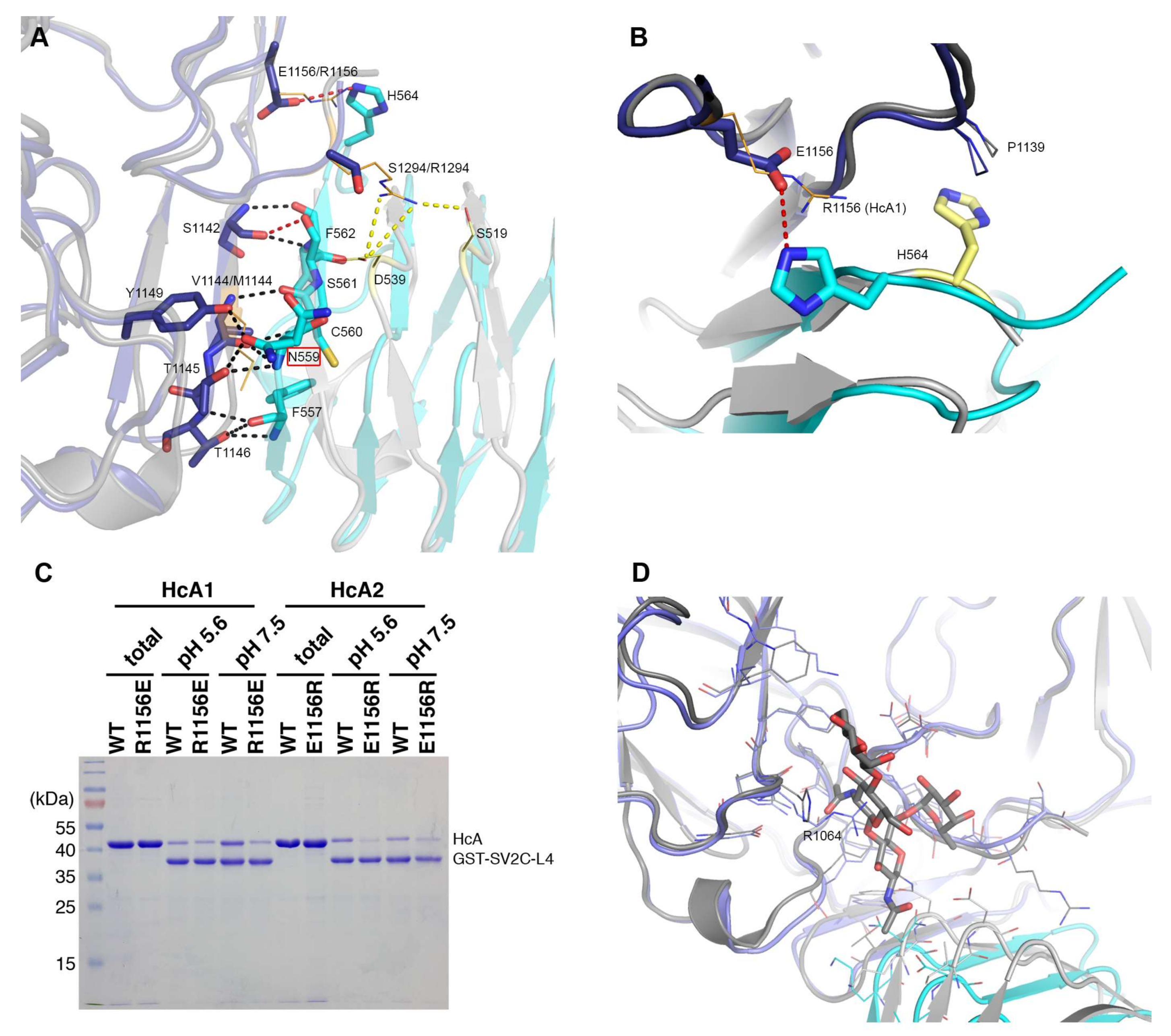 Toxins 10 00153 g003