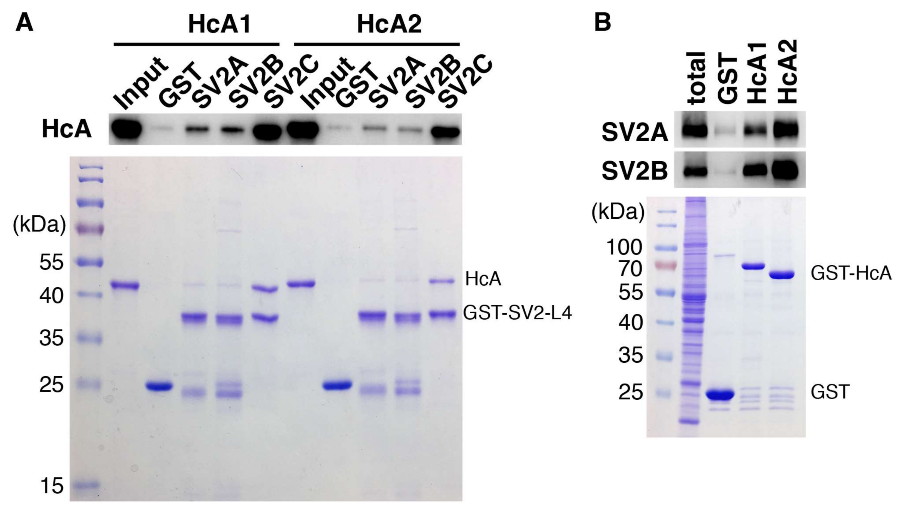 Toxins 10 00153 g006