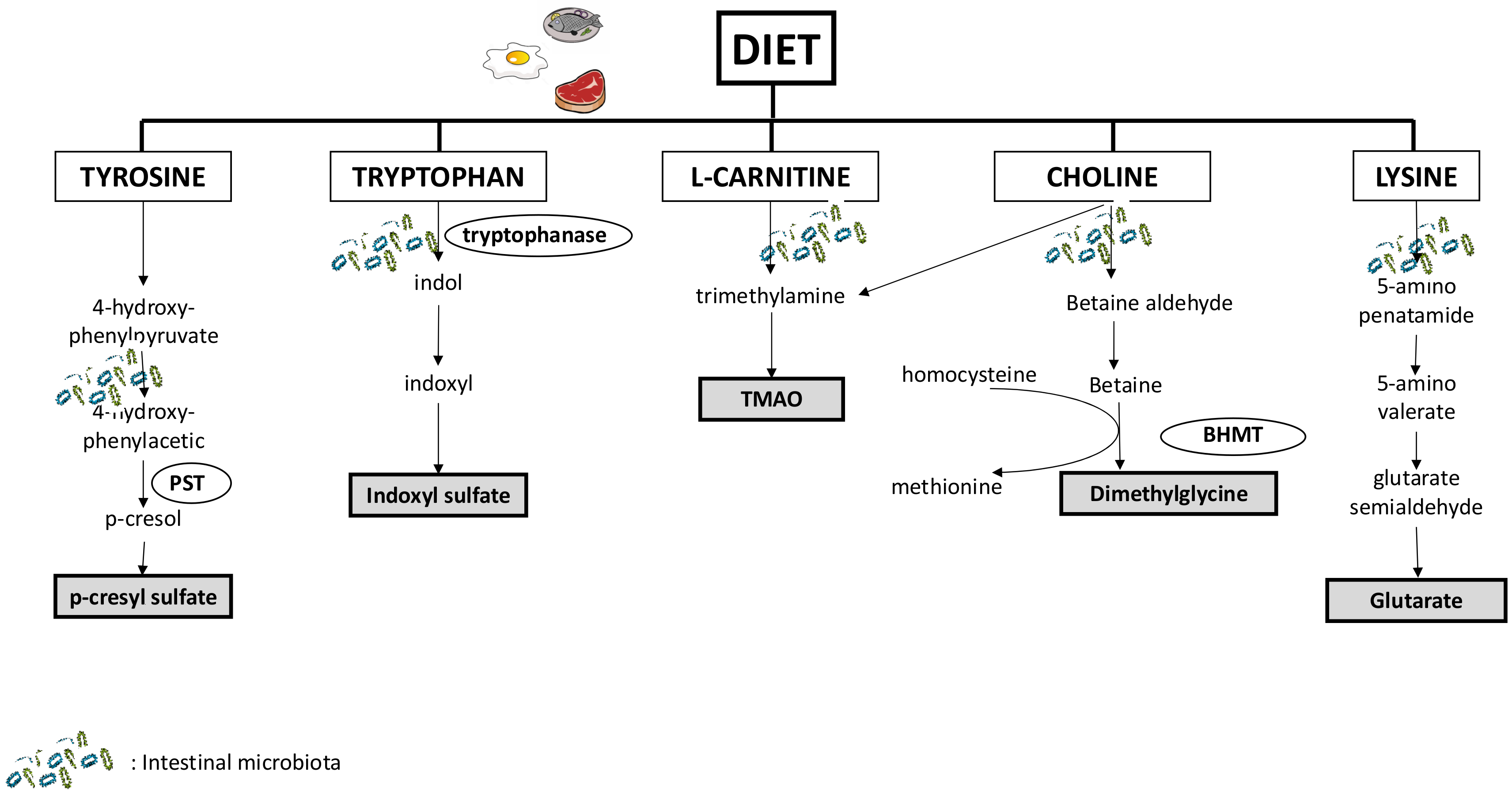 Toxins 10 00155 g001