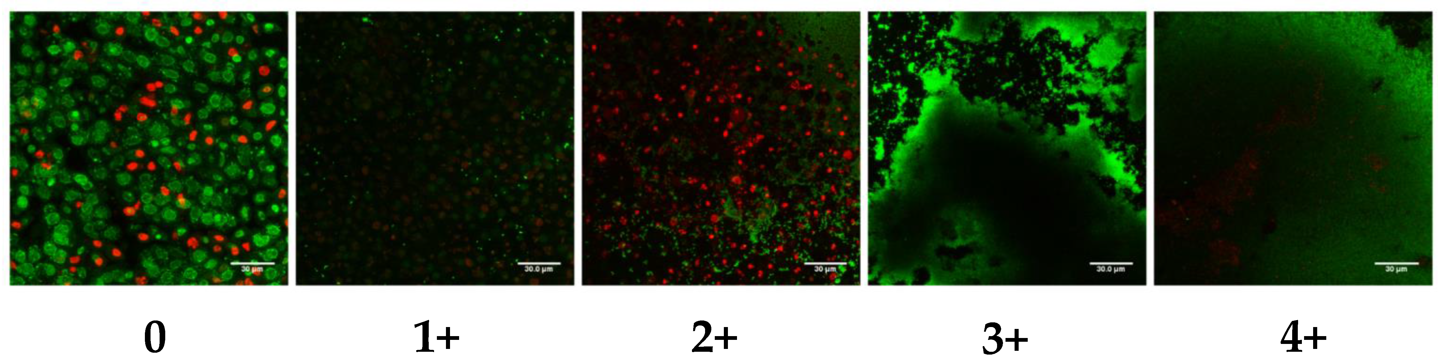 Toxins 10 00157 g002