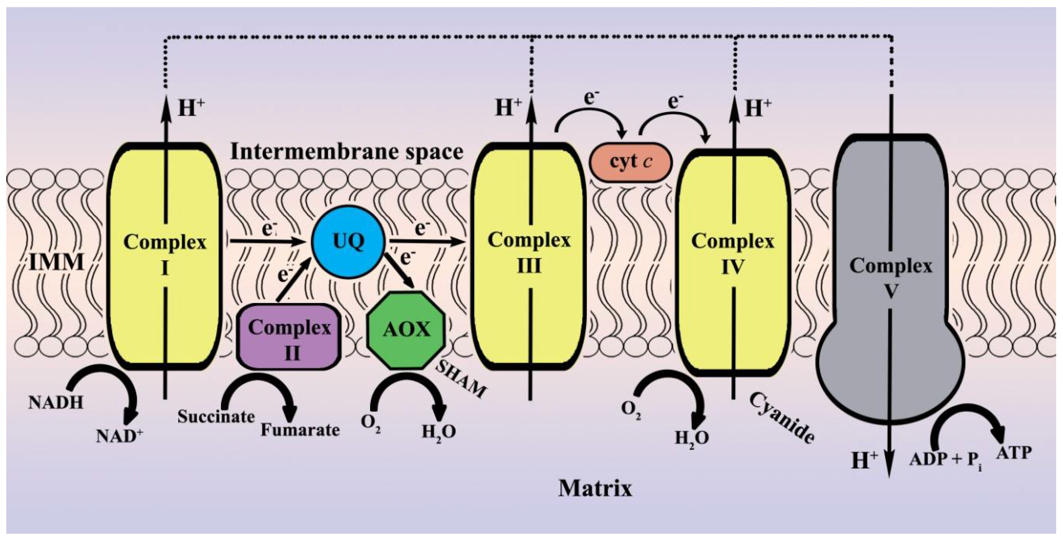 Toxins 10 00168 g001 Toxins 10 00168 g001