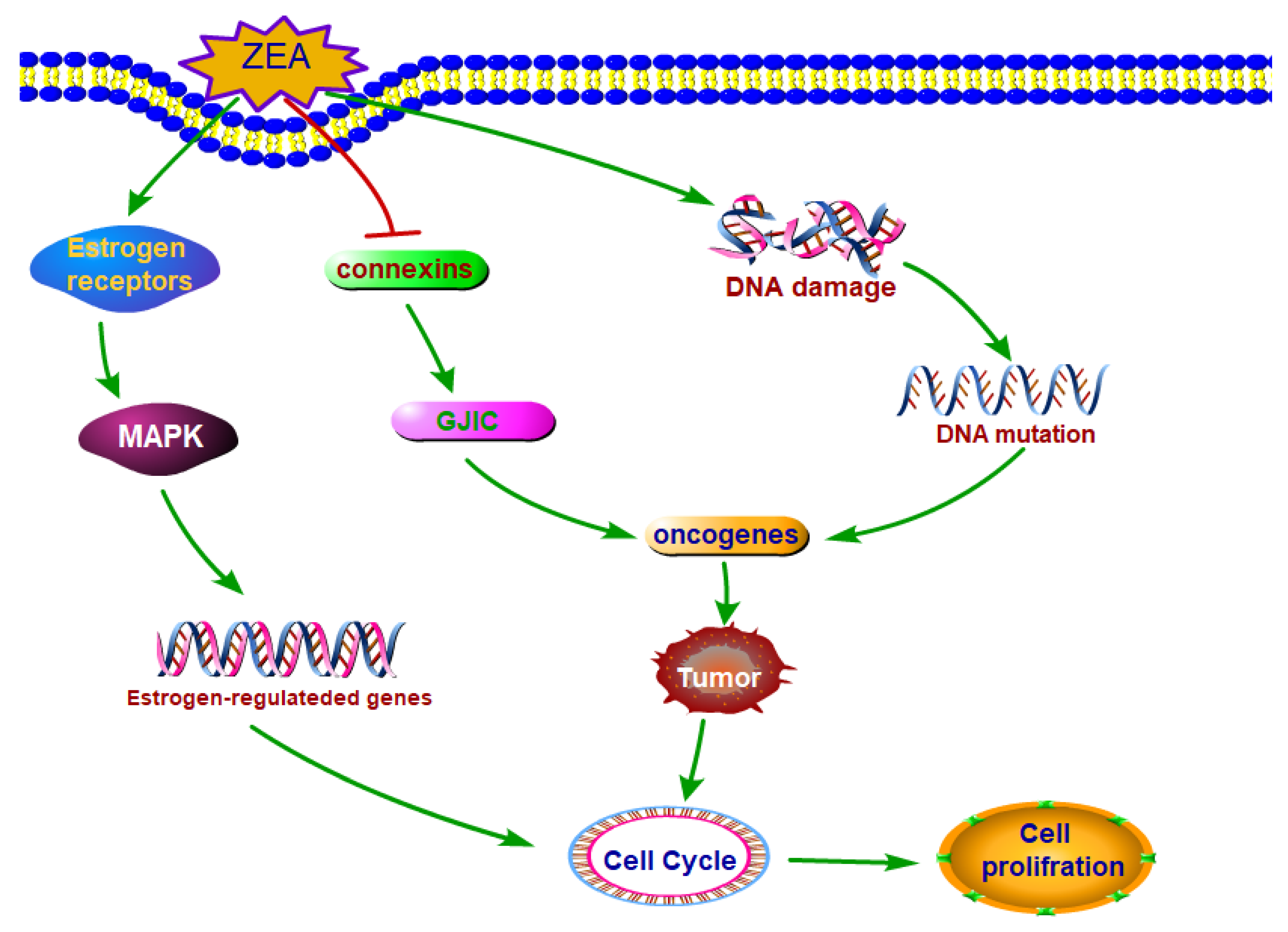 Toxins 10 00184 g002 Toxins 10 00184 g002