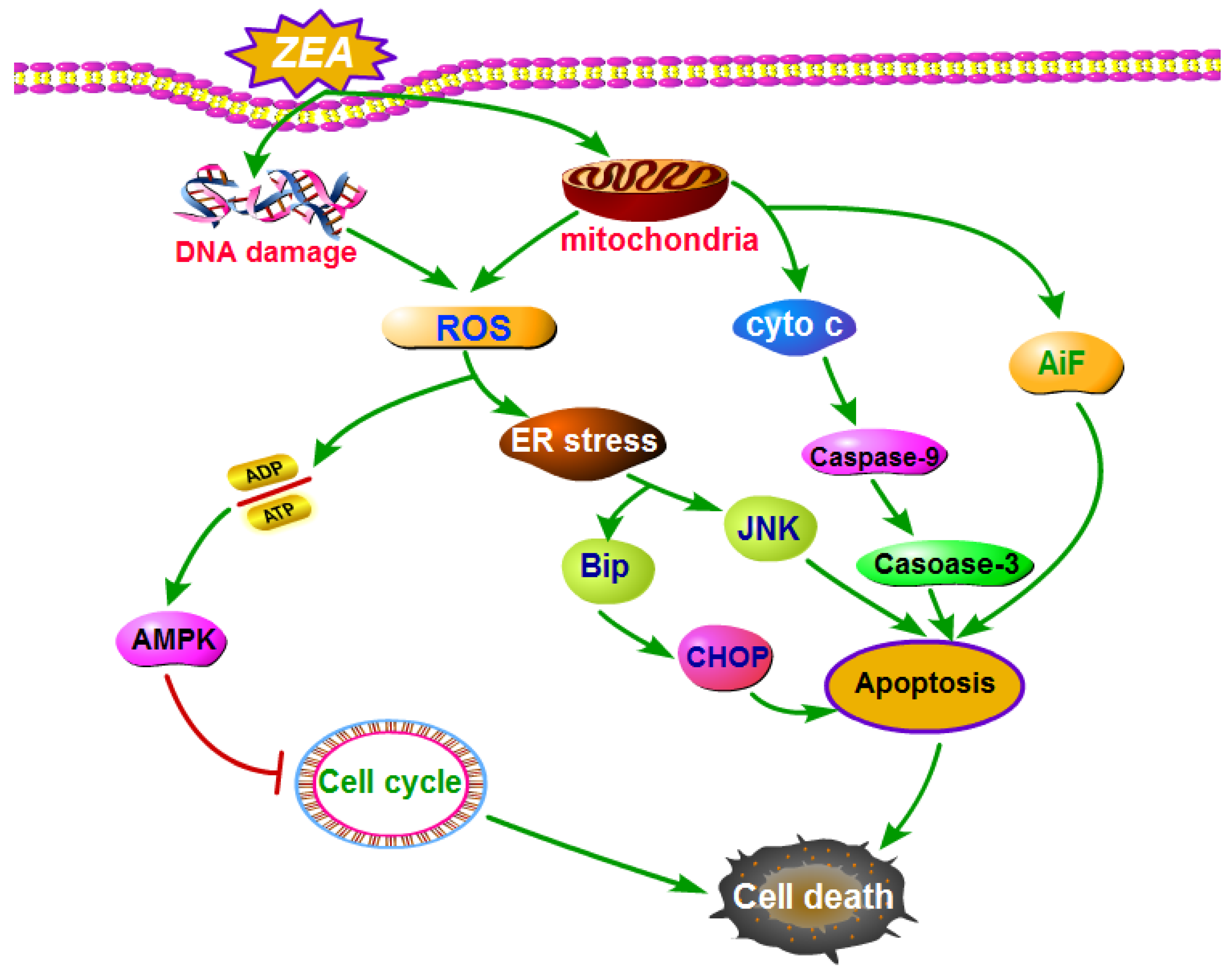 Toxins 10 00184 g003 Toxins 10 00184 g003