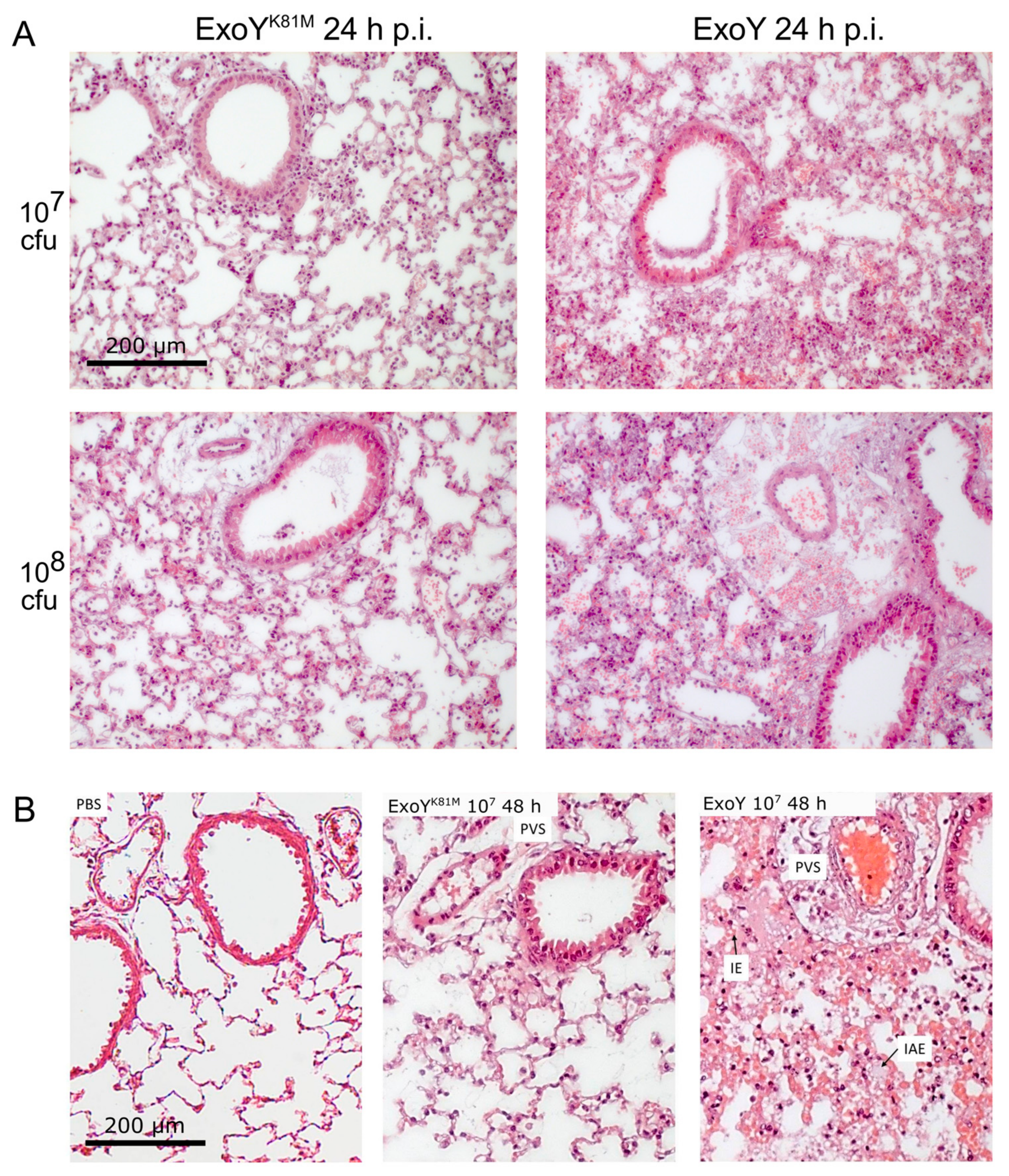 Toxins 10 00185 g002 Toxins 10 00185 g002
