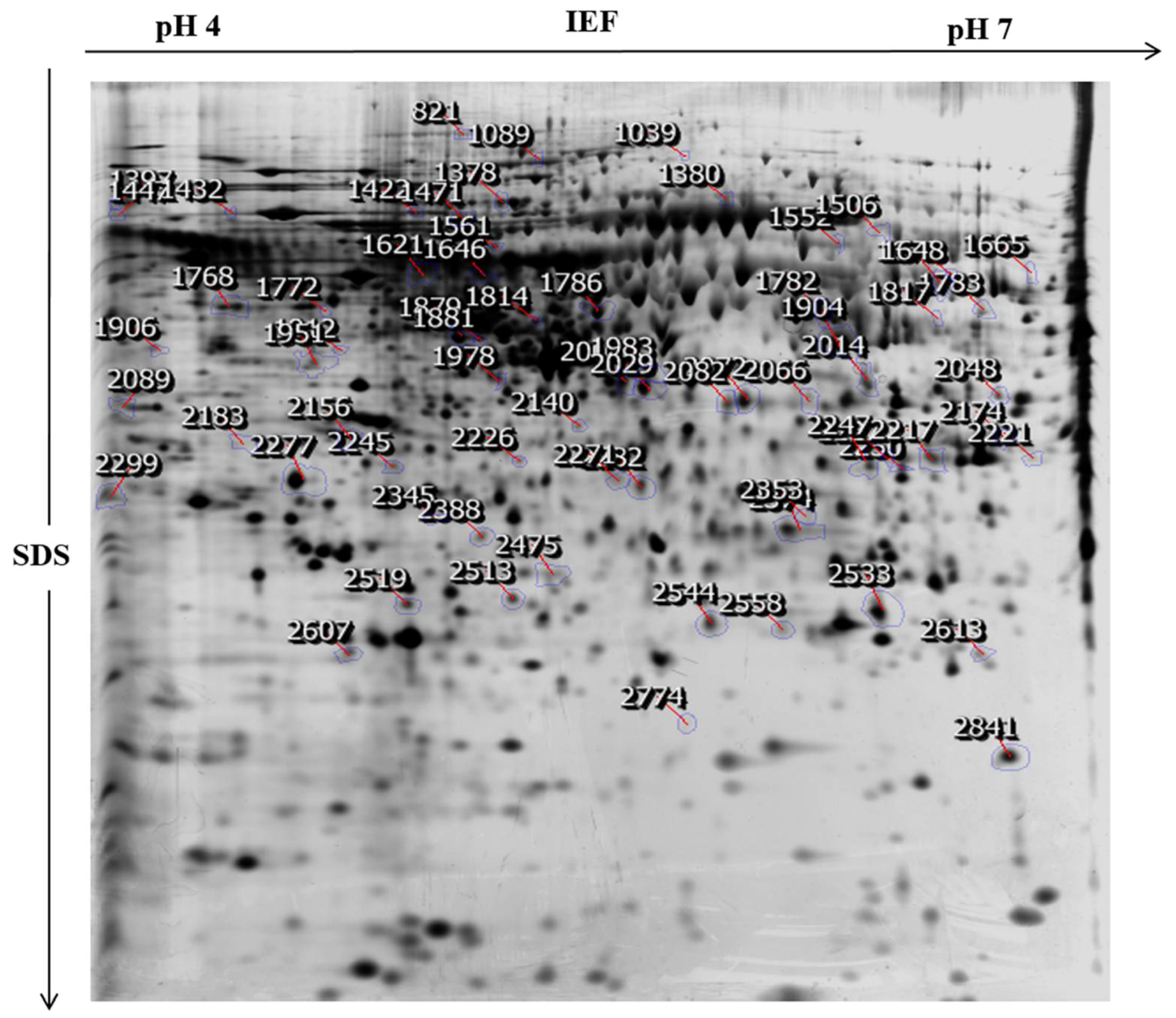 Toxins 10 00194 g003