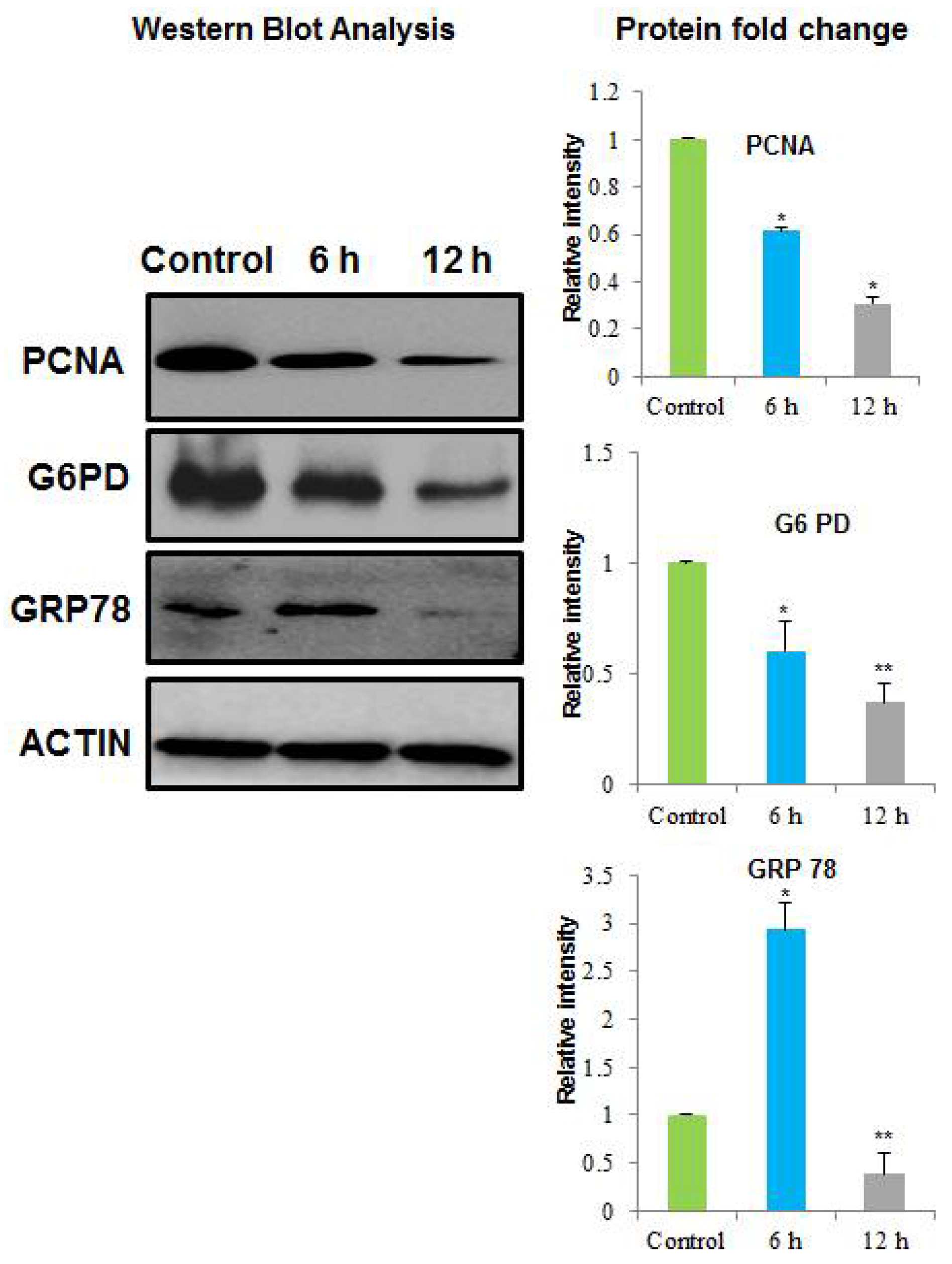 Toxins 10 00194 g004