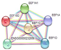Toxins 10 00194 i004