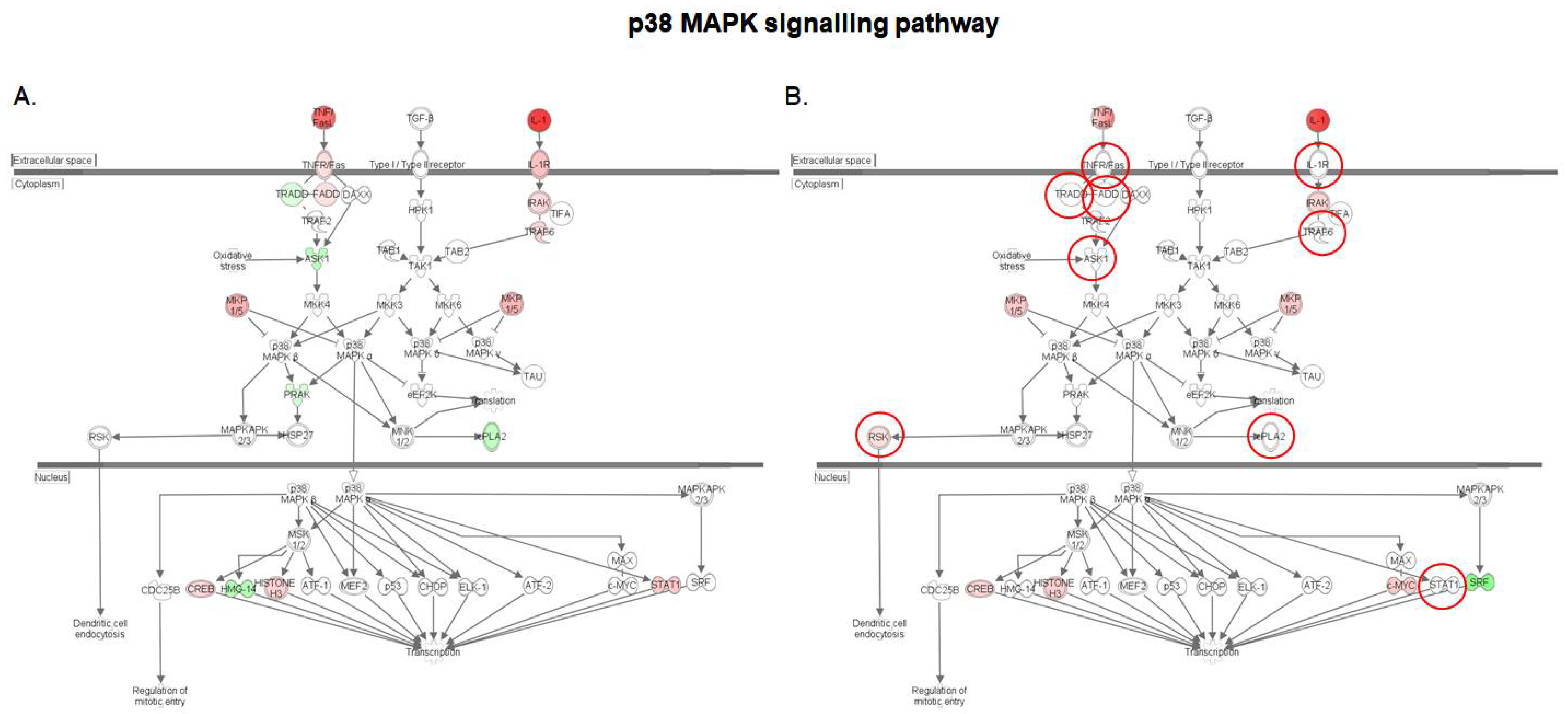 Toxins 10 00199 g004