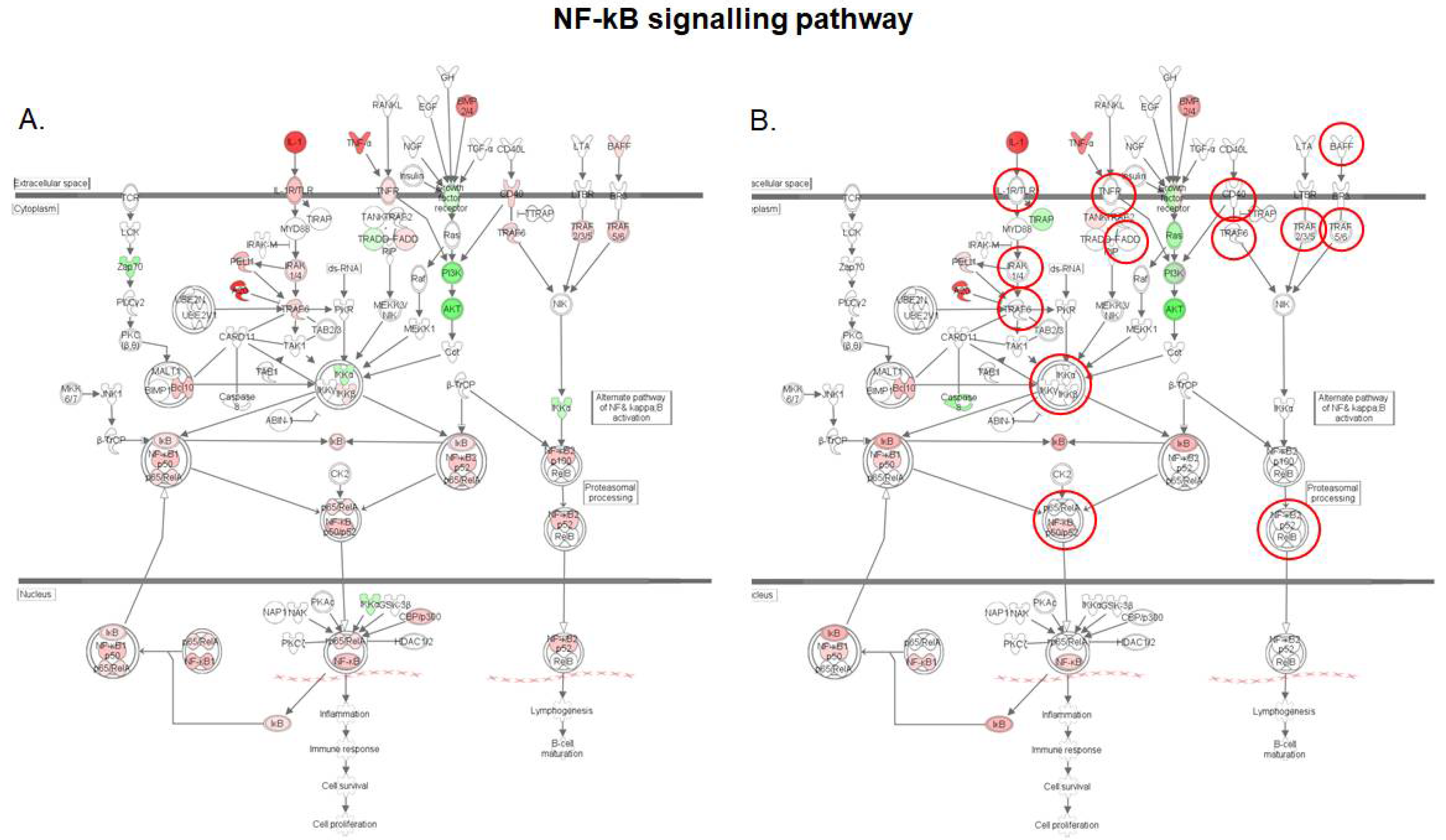 Toxins 10 00199 g005