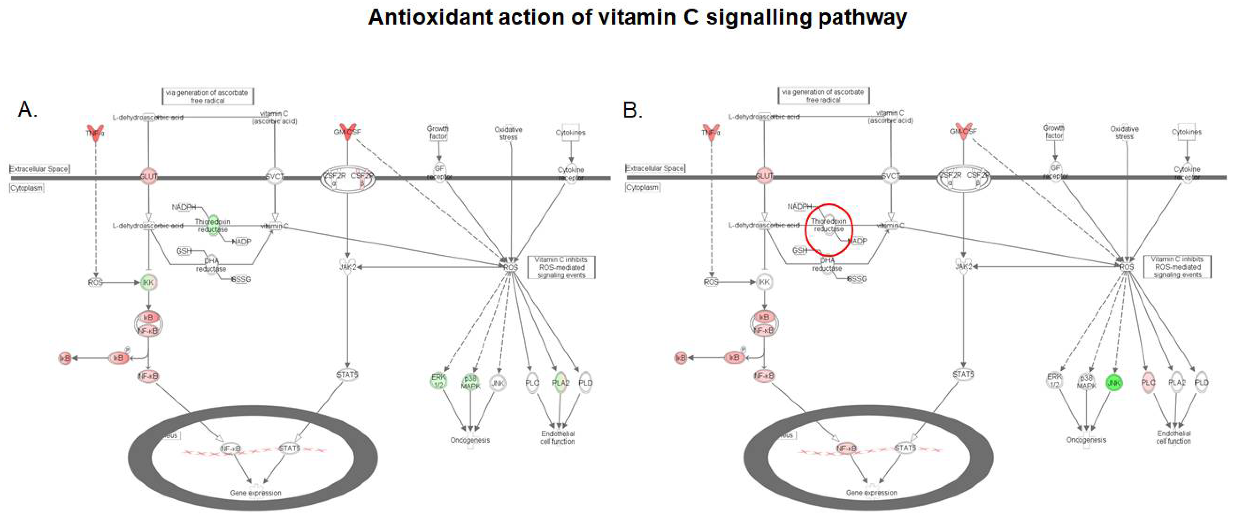 Toxins 10 00199 g006