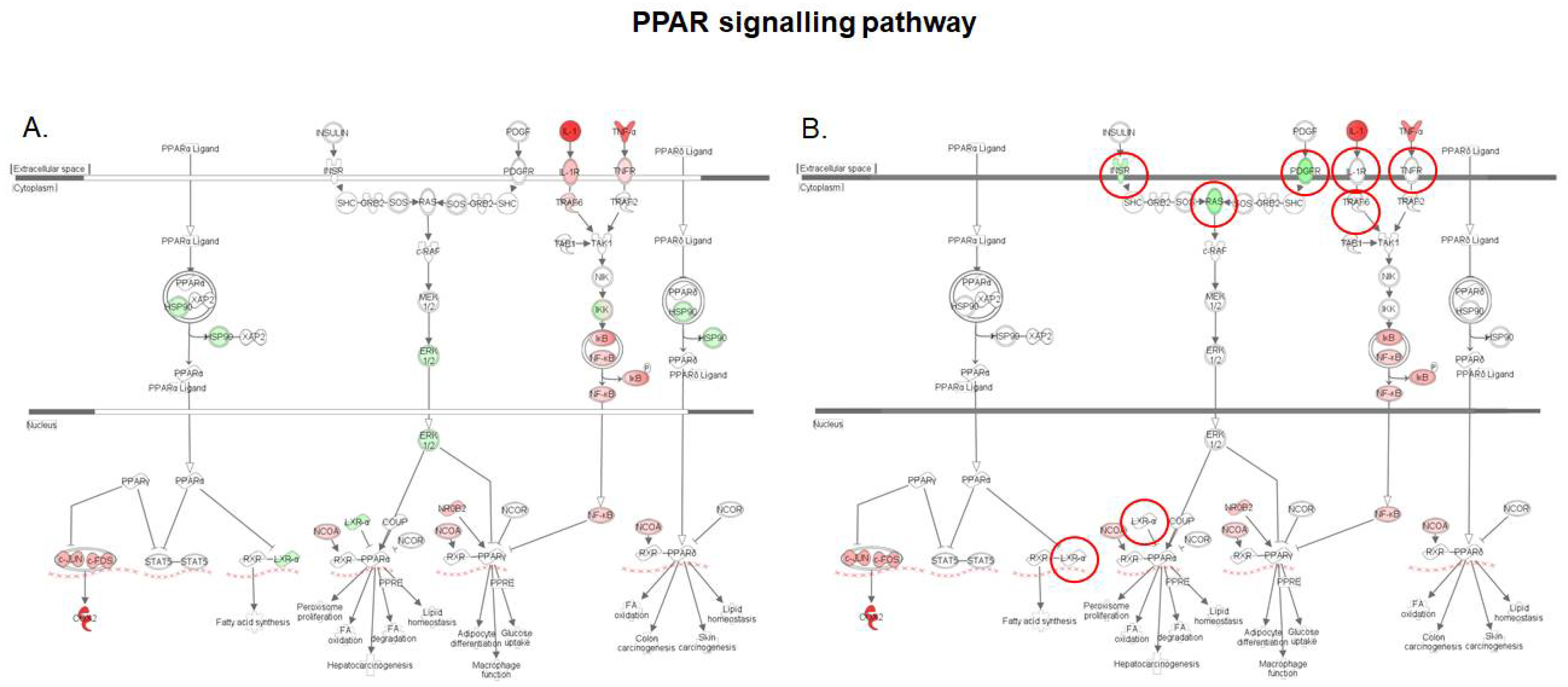 Toxins 10 00199 g007