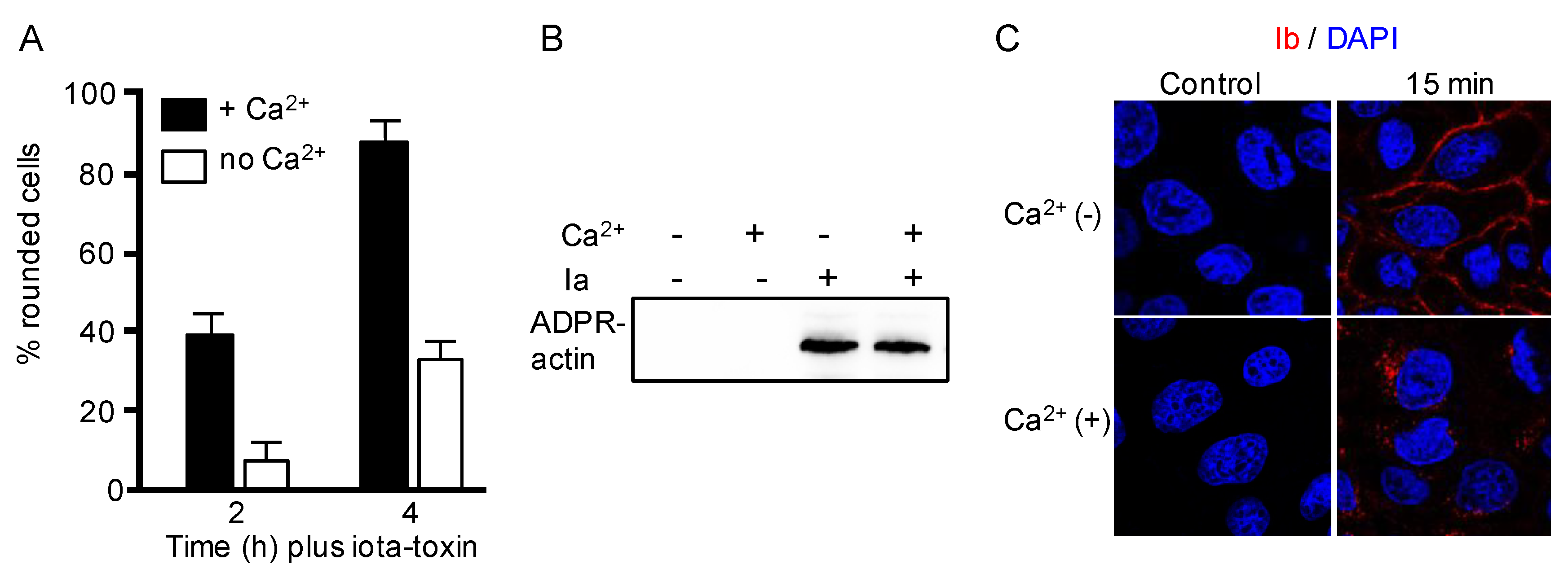 Toxins 10 00209 g001