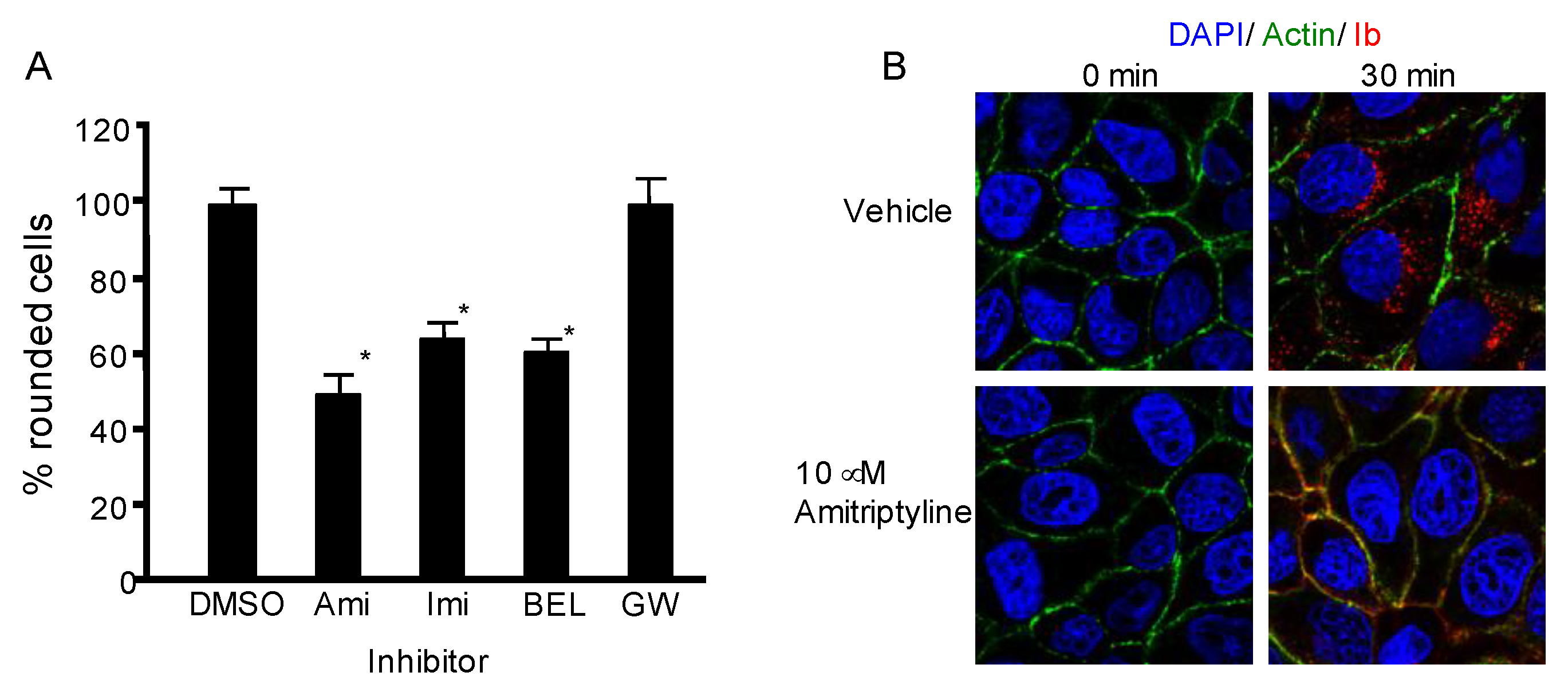 Toxins 10 00209 g003