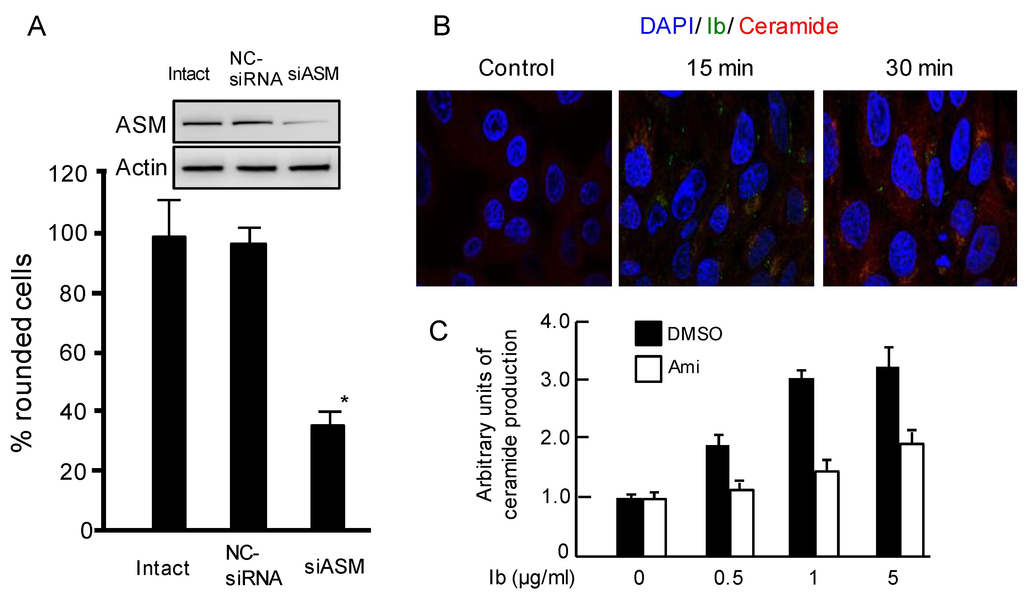 Toxins 10 00209 g004