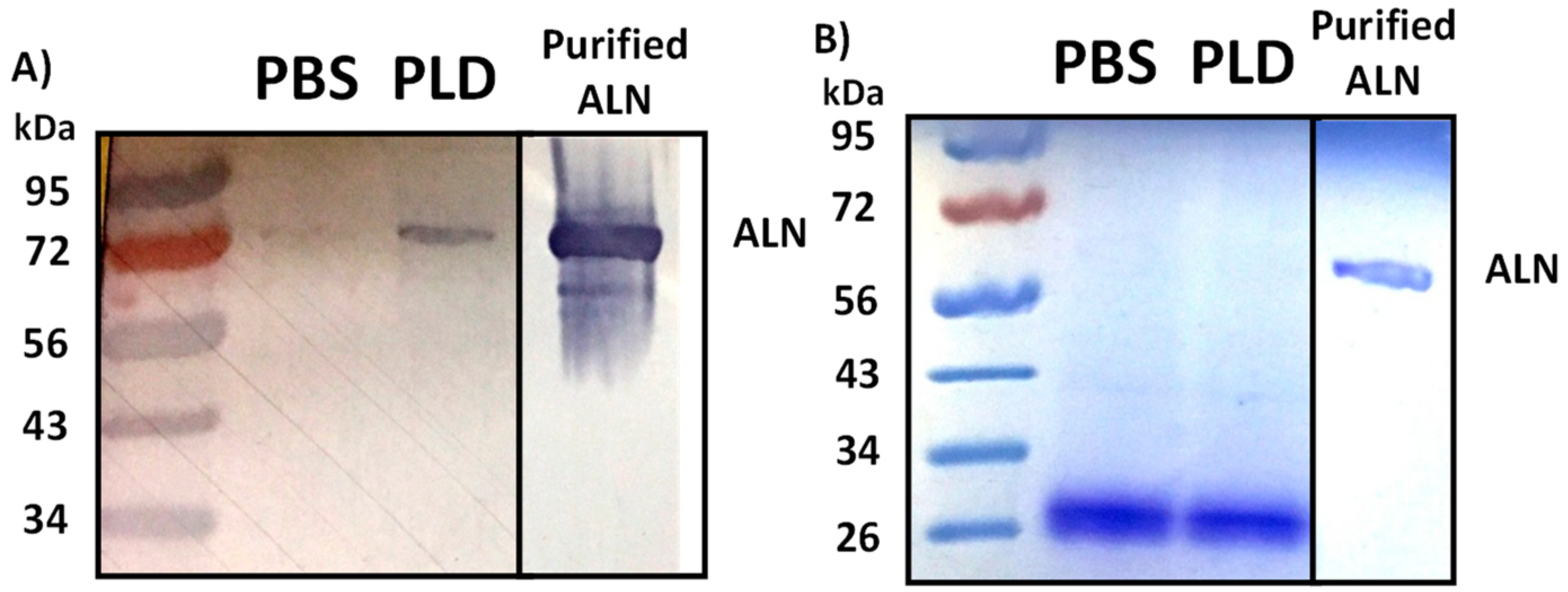 Toxins 10 00213 g004 Toxins 10 00213 g004