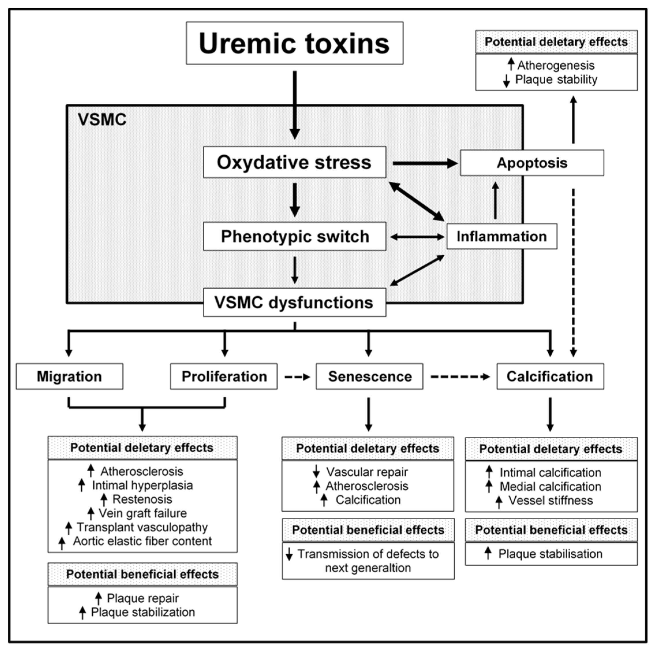 Toxins 10 00218 g001 Toxins 10 00218 g001